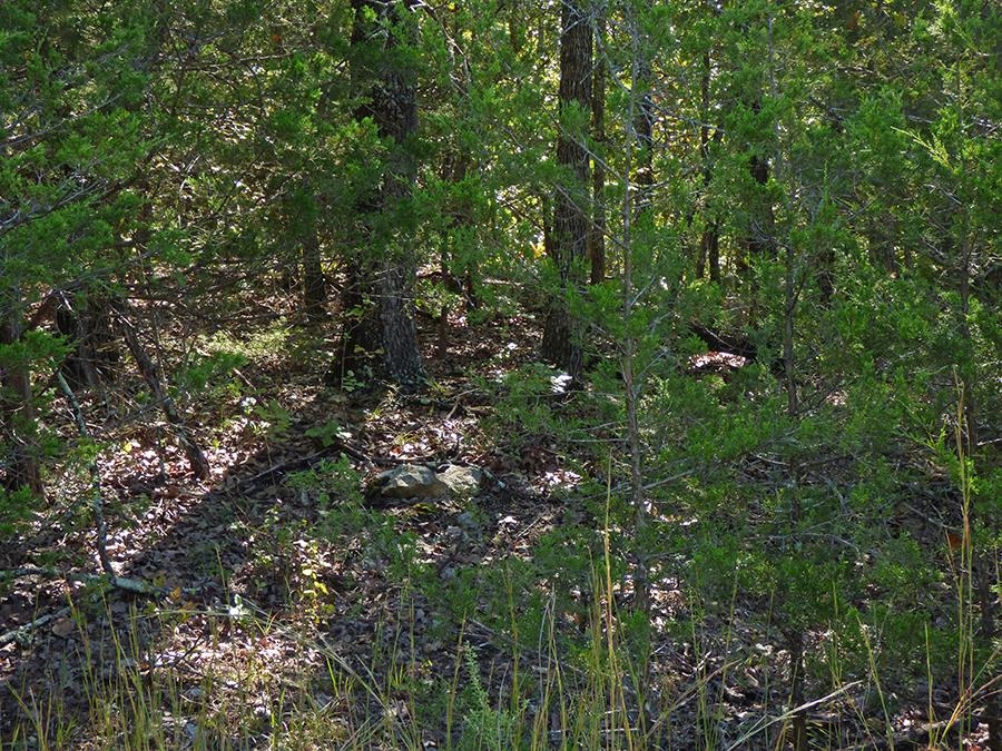 Diamond Cove Lane Property Photo 3