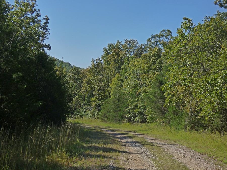 Diamond Cove Lane Property Photo 4