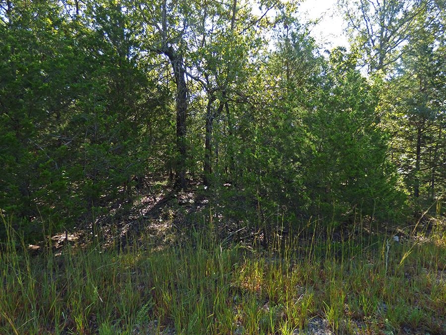 Diamond Cove Lane Property Photo 5