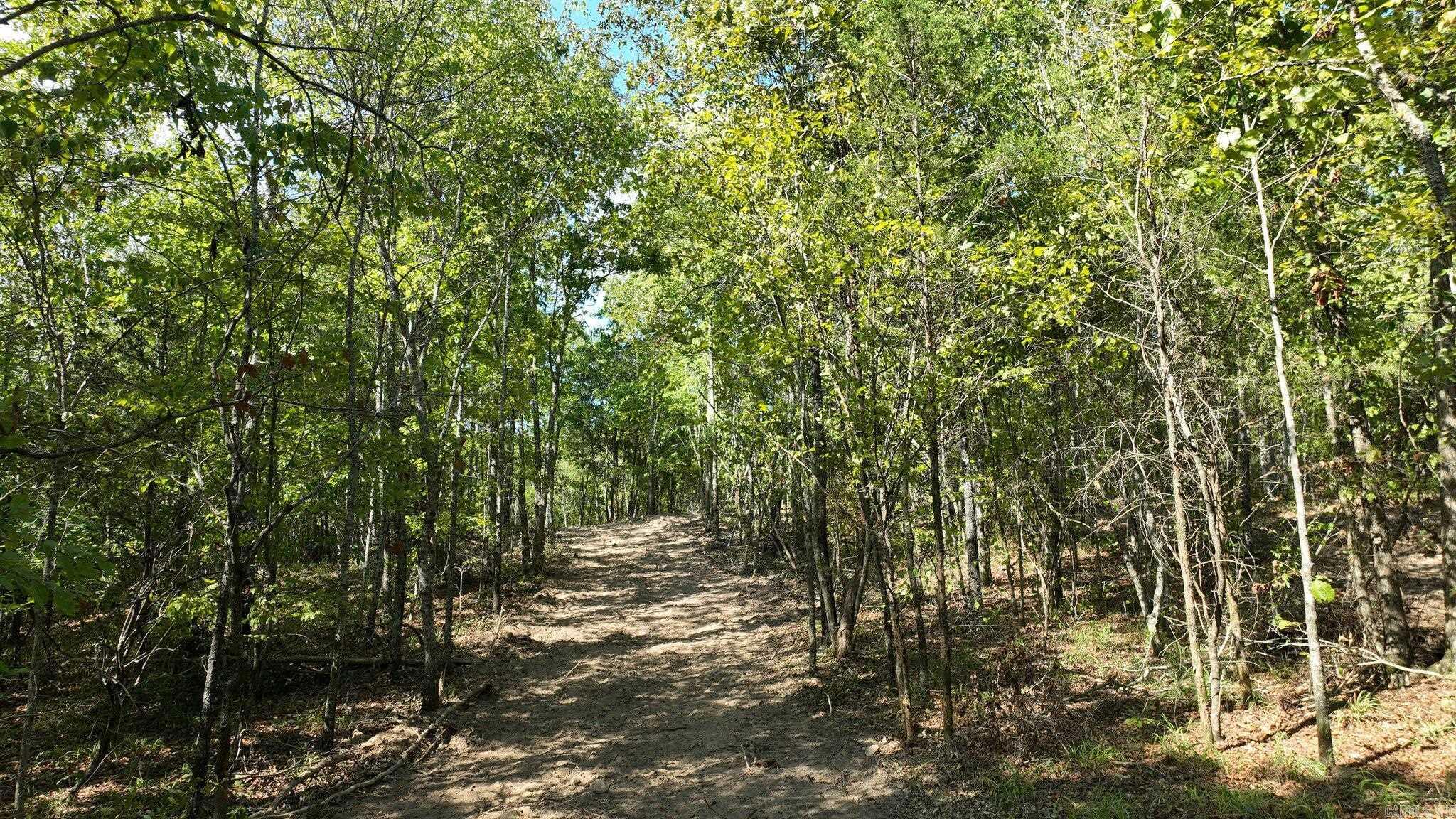 Tbd, Tract 2 Polk Road 158 Property Photo