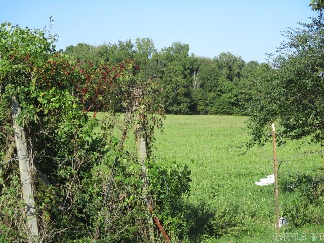 Tbd Greene 835 Rd Property Photo 2