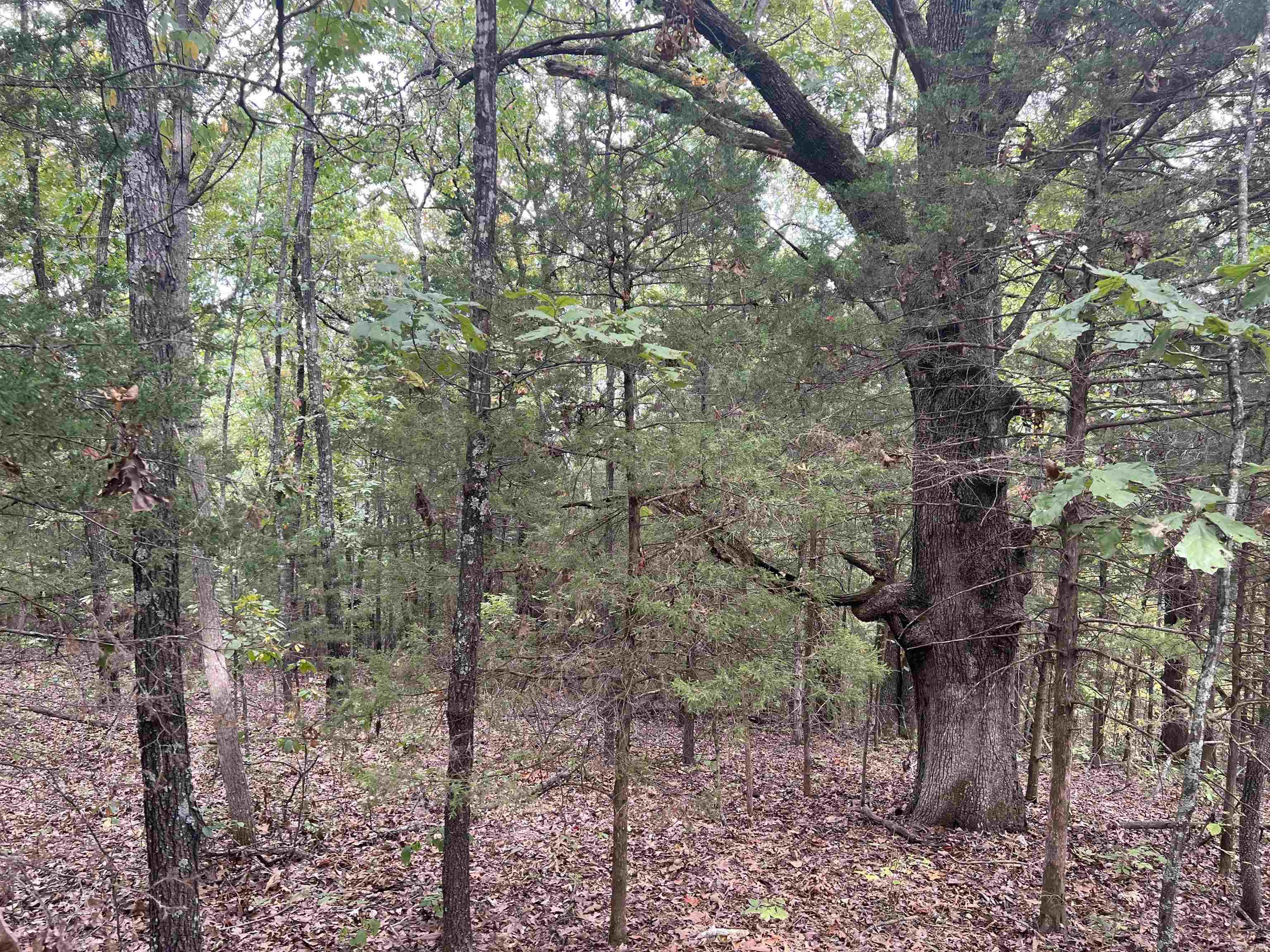 Country Hills Add Real Estate Listings Main Image