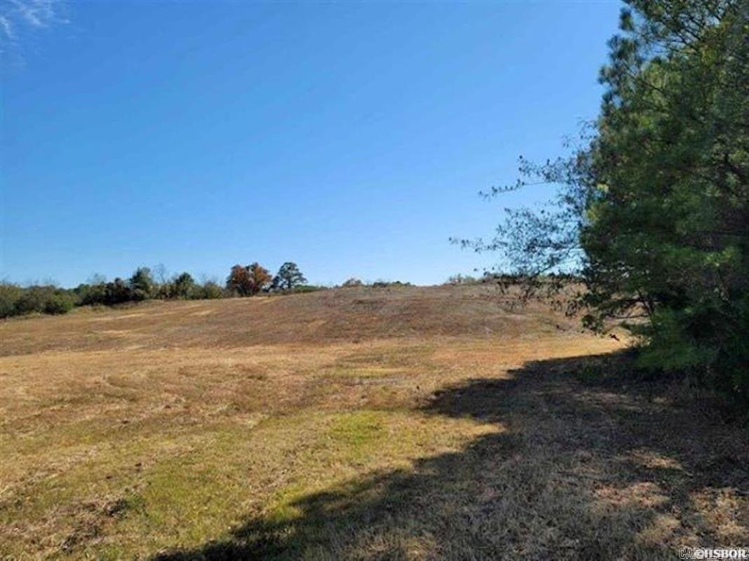Xxx Mountain Pine Road Property Photo 3