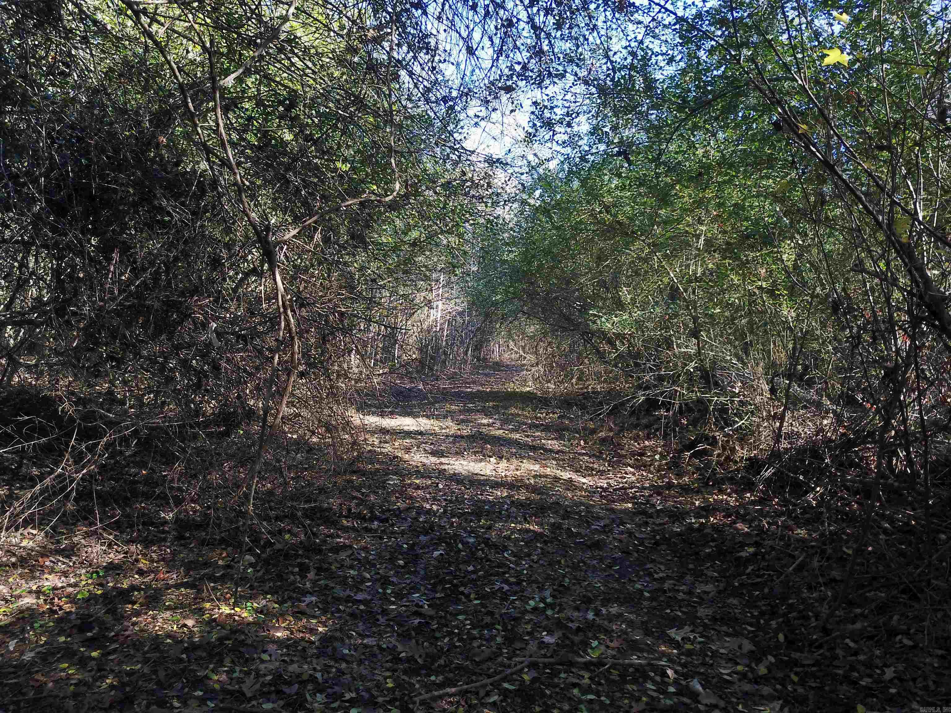 White Oak Slough Road Property Photo 2