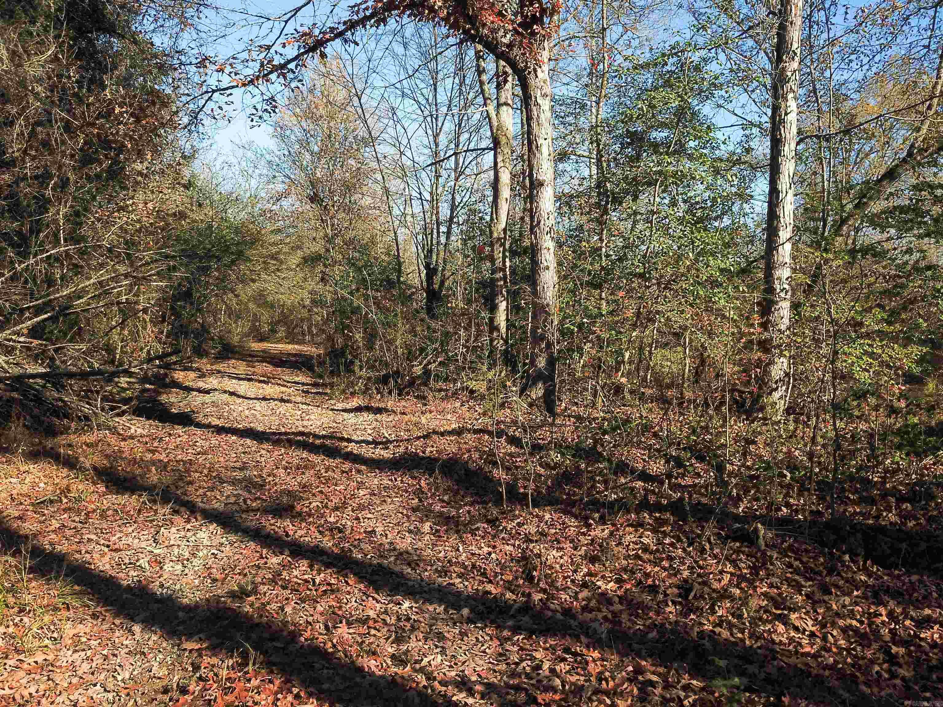 White Oak Slough Road Property Photo 12