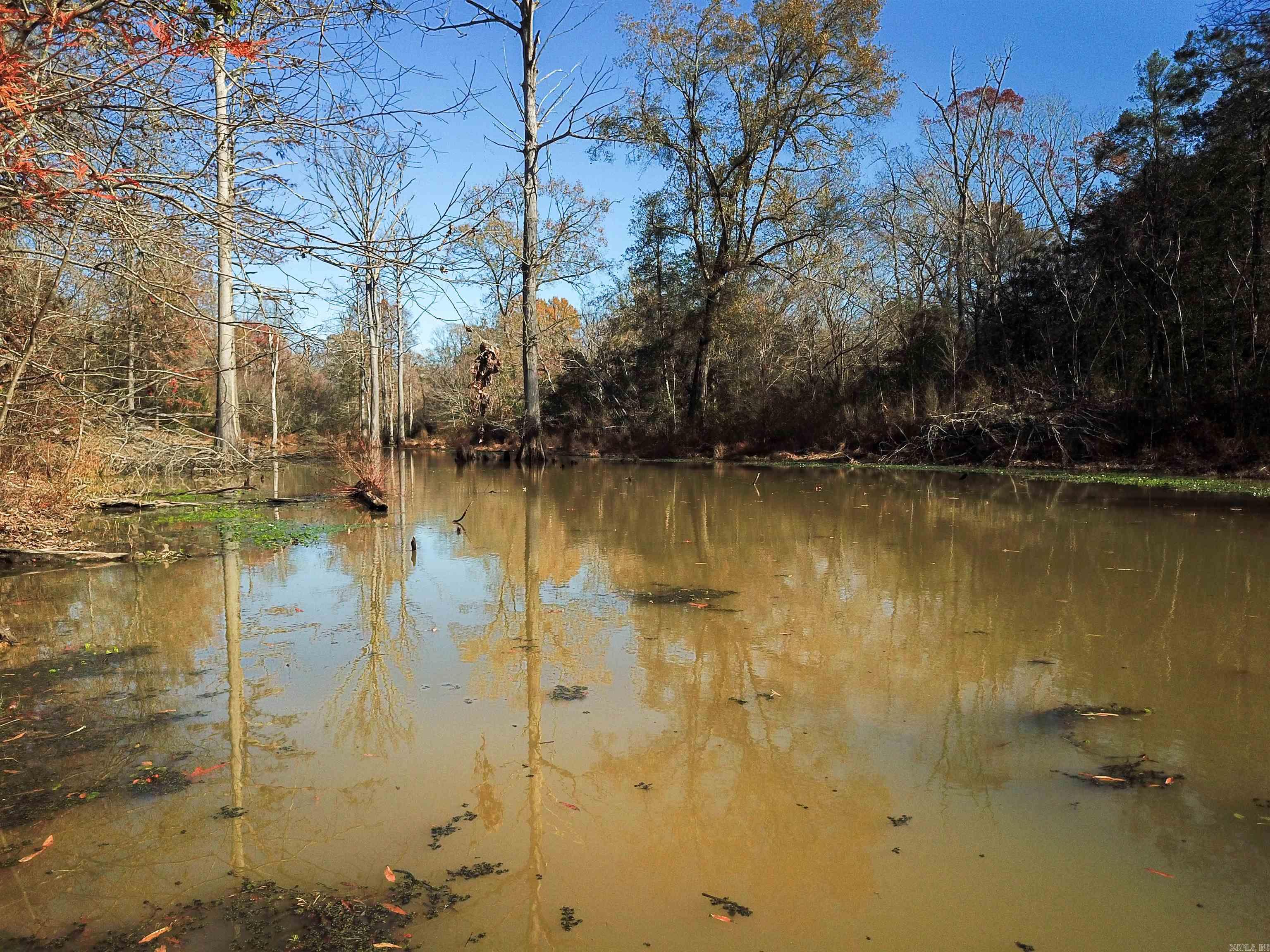 White Oak Slough Road Property Photo 14