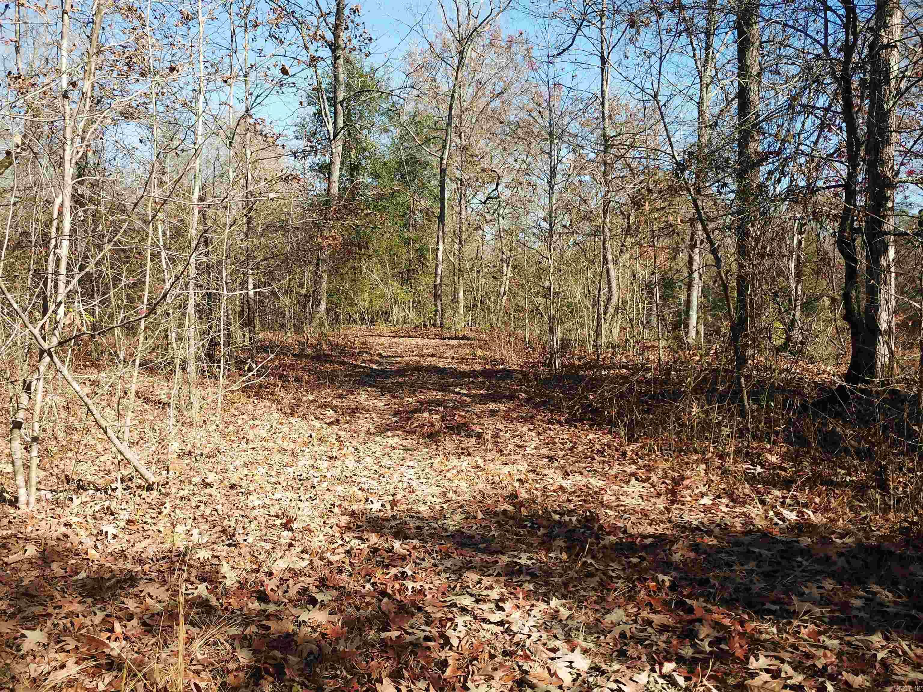 White Oak Slough Road Property Photo 20