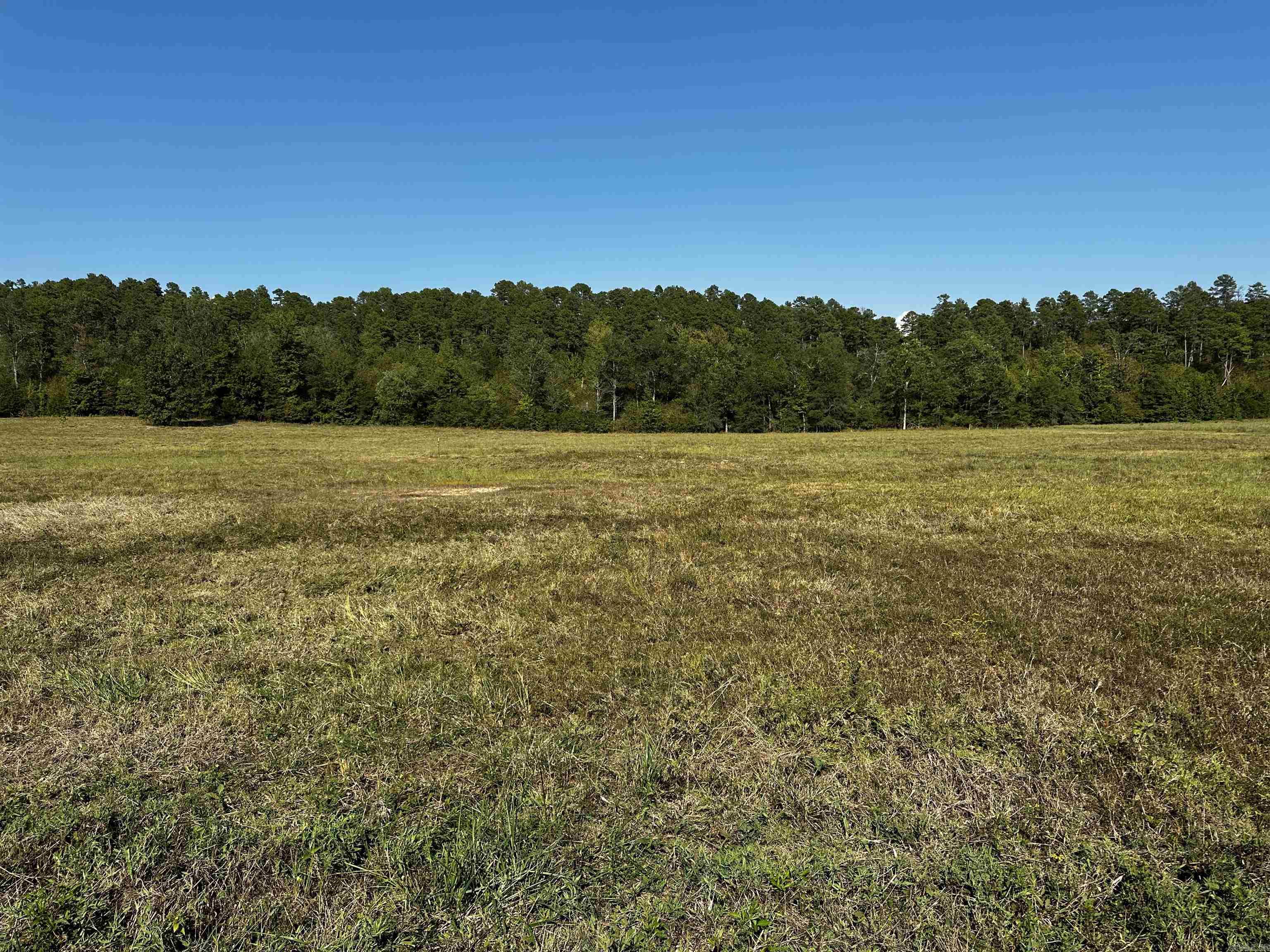 202 Reva's Way Property Photo 1