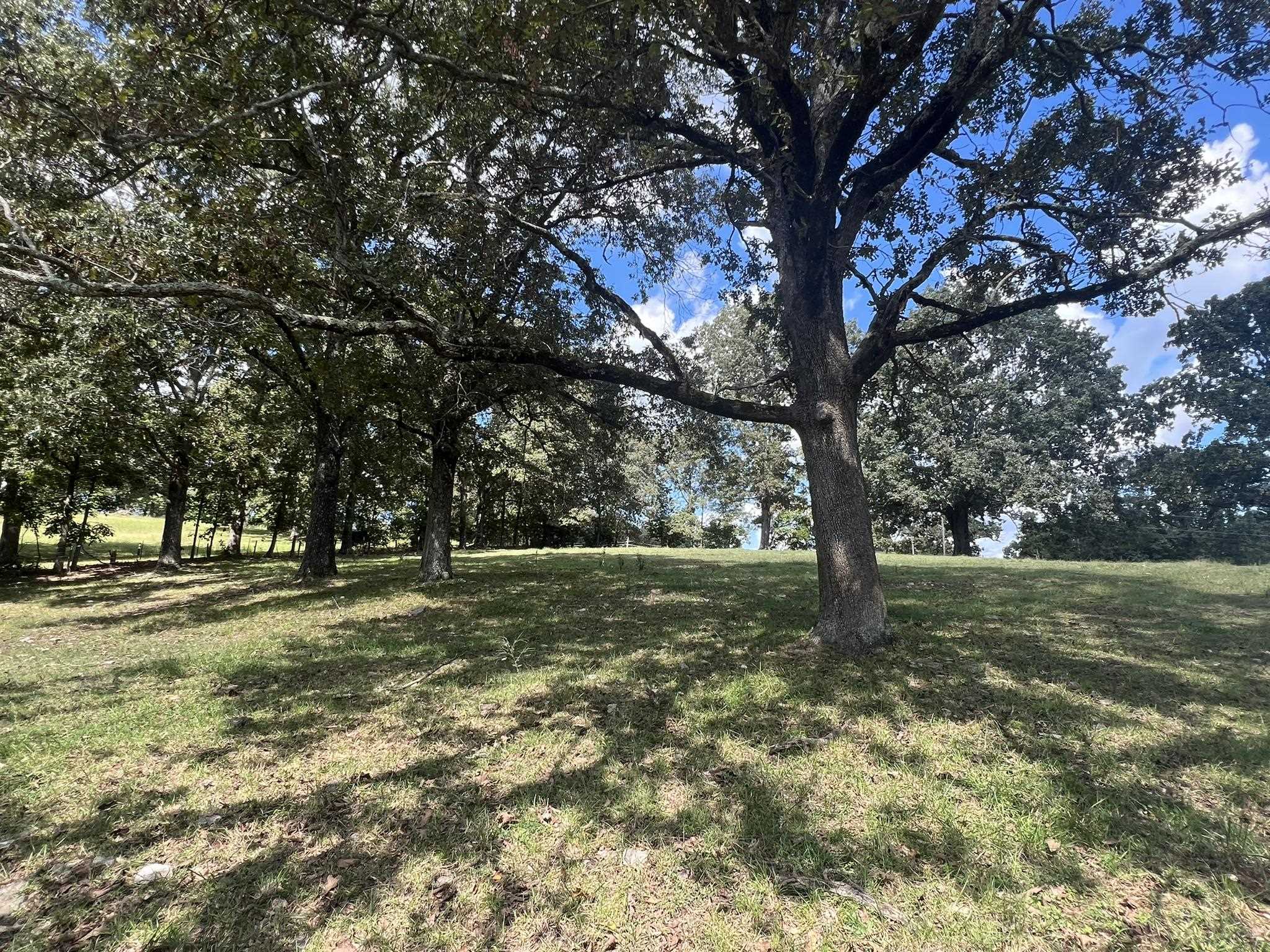 131 Sunset Hill Road Property Photo 30