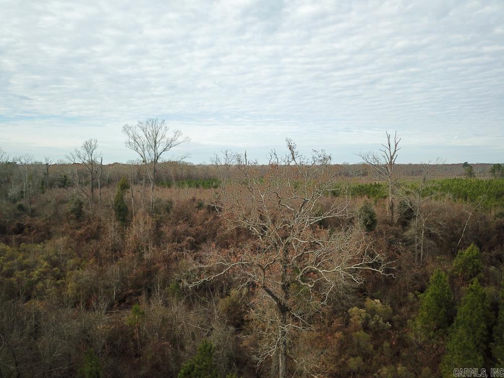 Bradley Road Property Photo 20