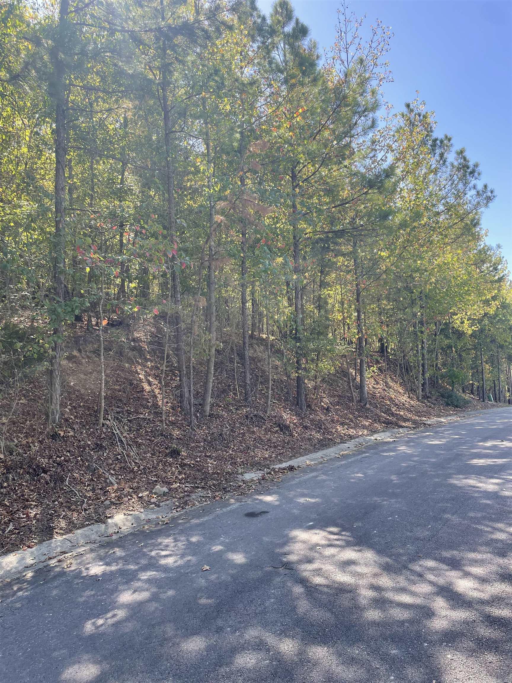 Lot 4 Lake Forest Shores Property Photo 6