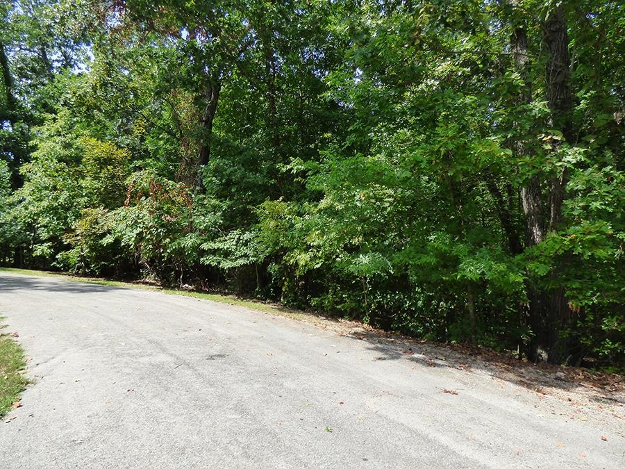 Alamo Trail Property Photo 2