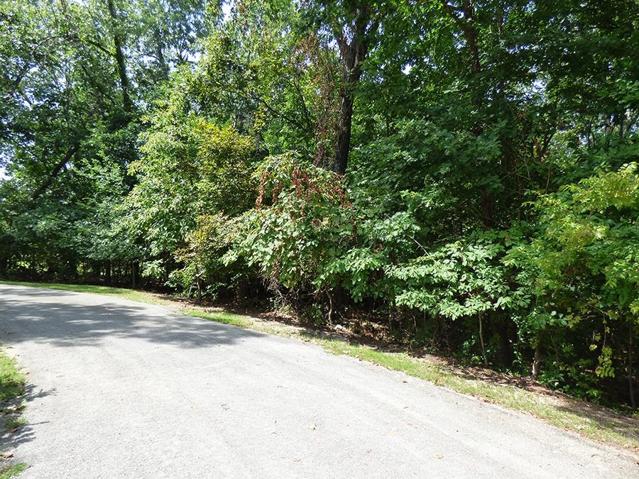 Alamo Trail Property Photo 3