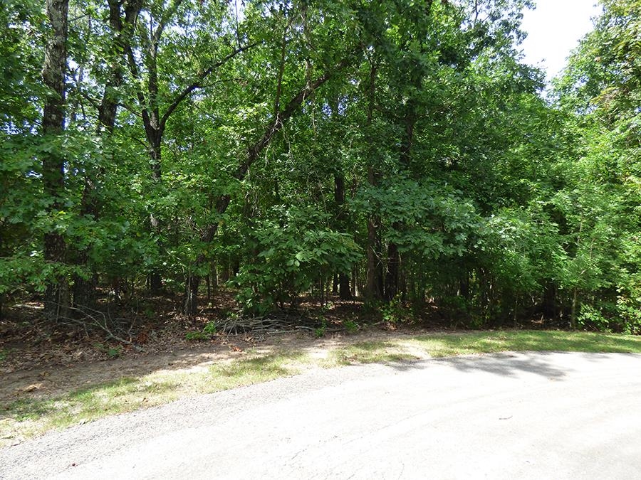 Alamo Trail Property Photo 5