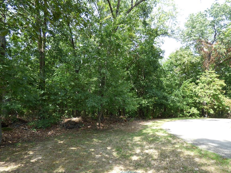 Alamo Trail Property Photo 6