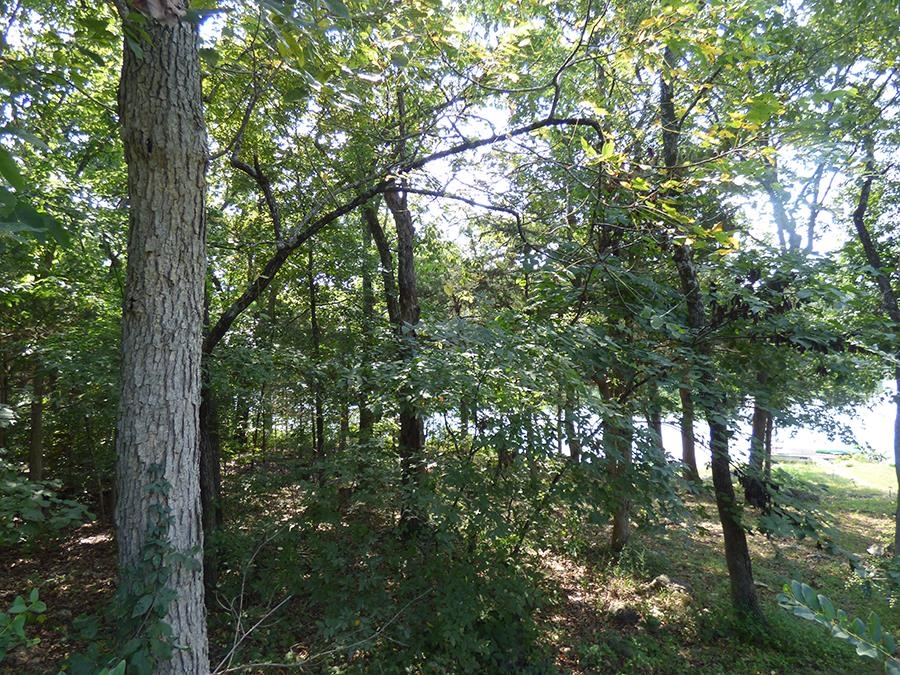 00 E Lakeshore Drive Property Photo 1
