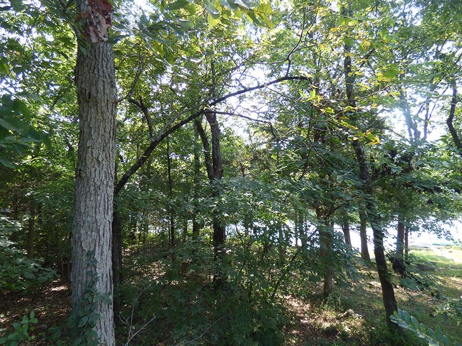 00 E Lakeshore Drive Property Photo 2