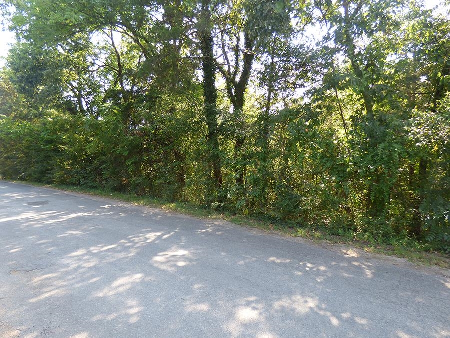 00 E Lakeshore Drive Property Photo 4