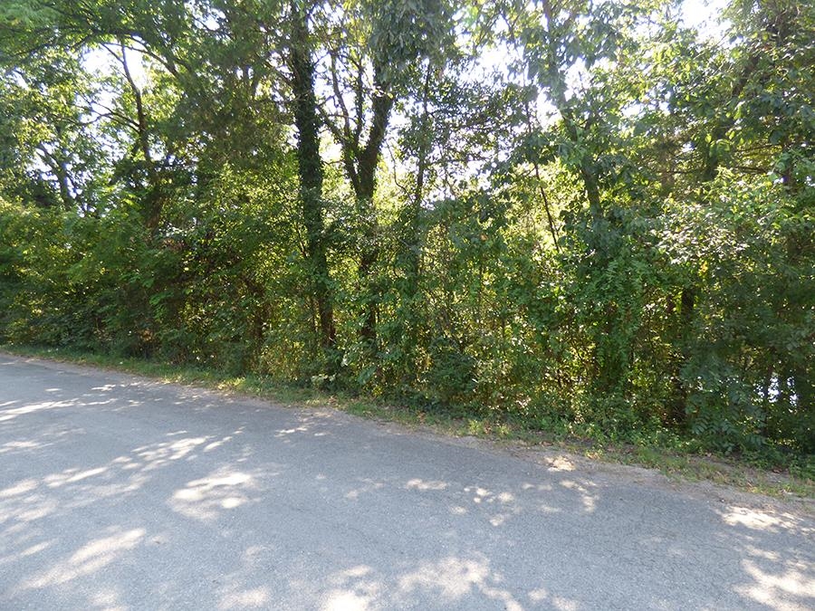00 E Lakeshore Drive Property Photo 5