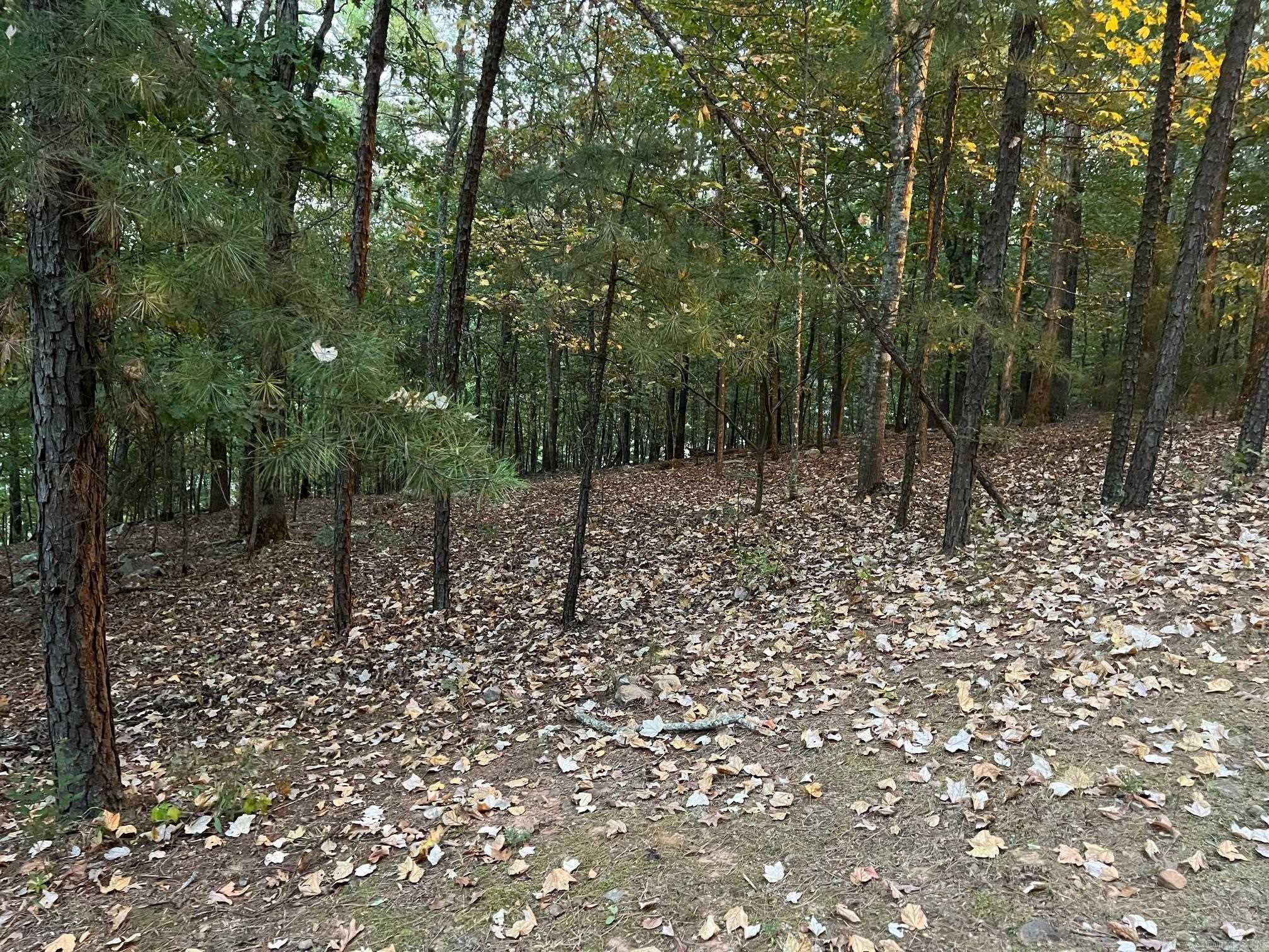 11 Mountain View Court Property Photo 2