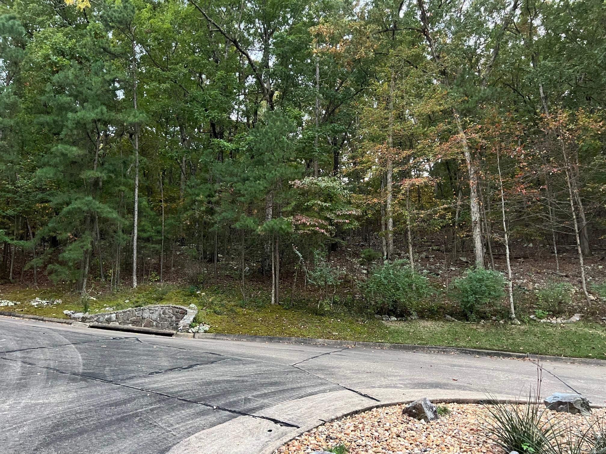 11 Mountain View Court Property Photo 3