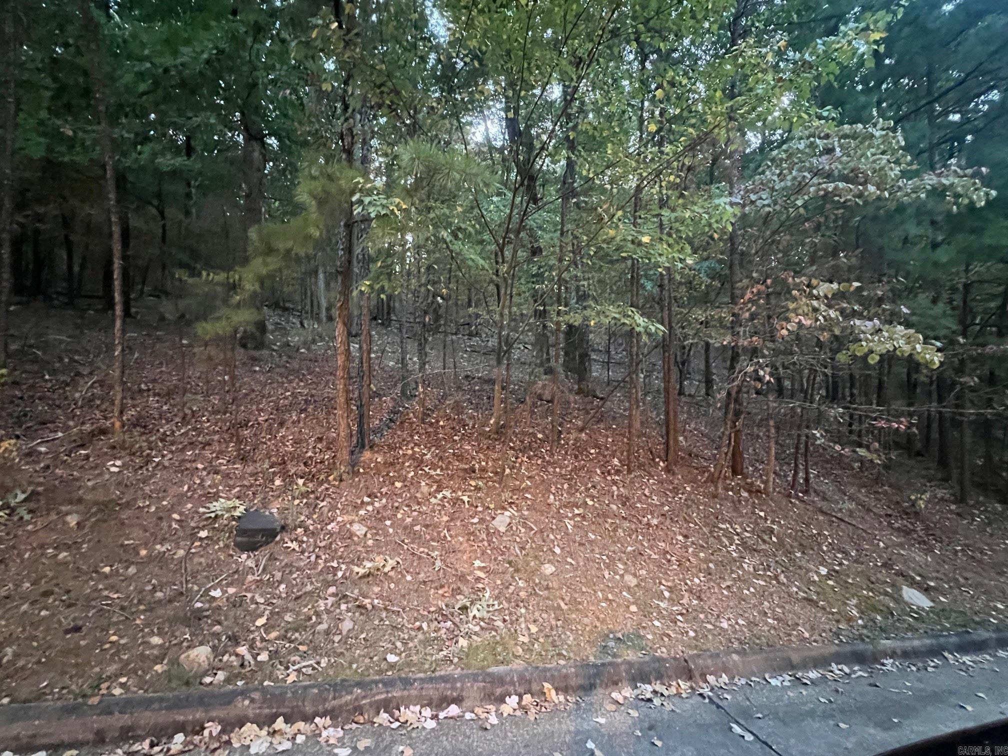 11 Mountain View Court Property Photo 5