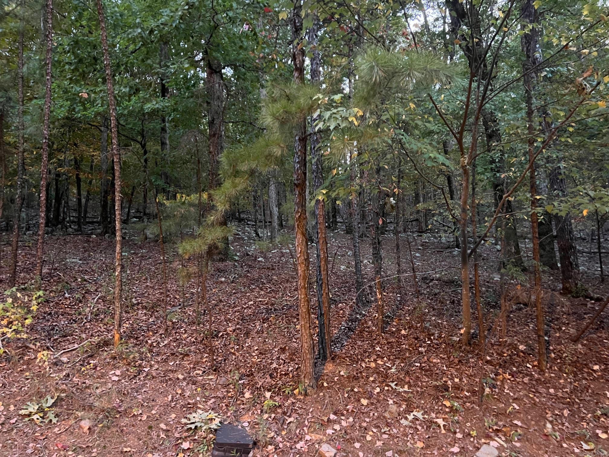 11 Mountain View Court Property Photo 6