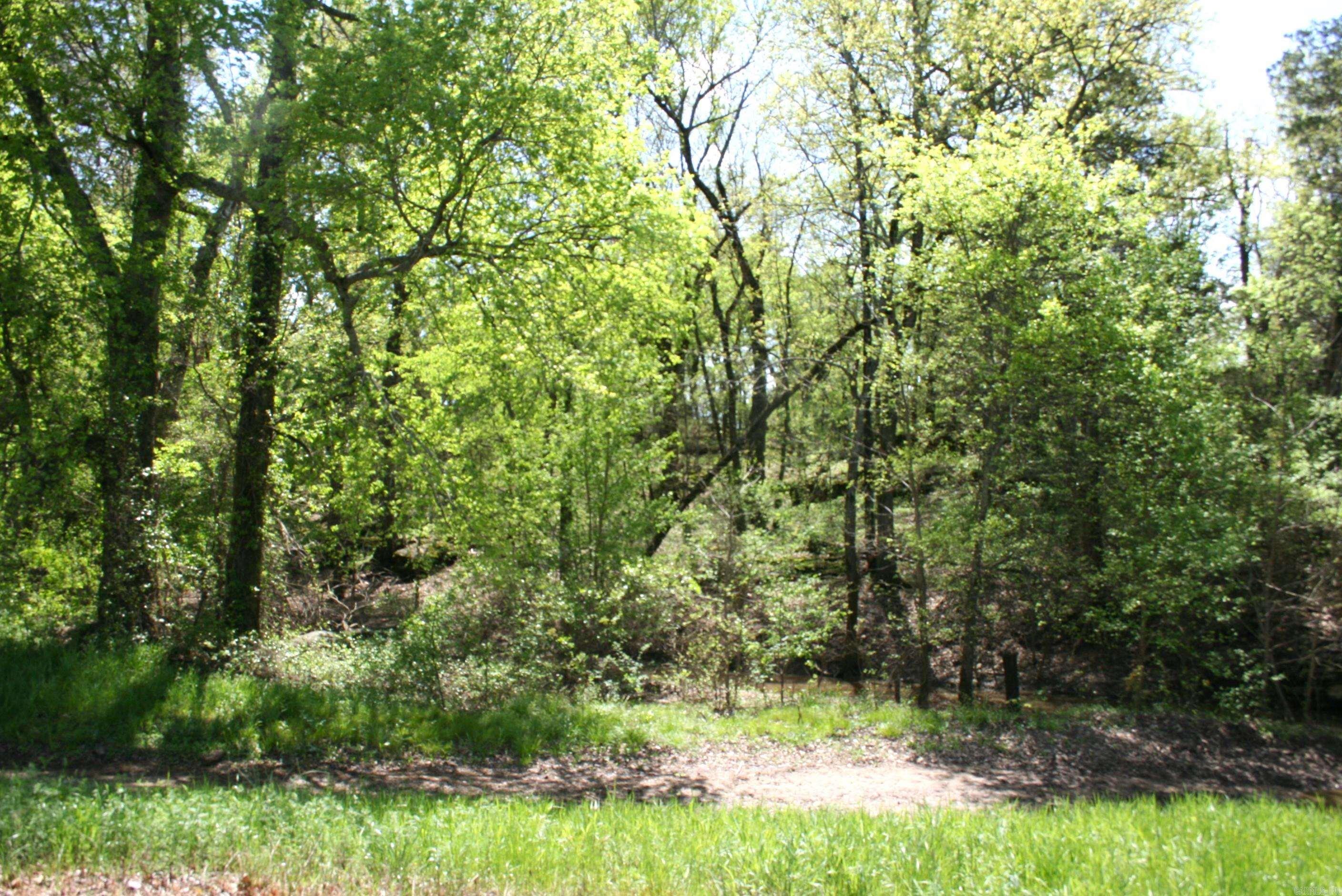 60 Acres Law 216 Property Photo 3