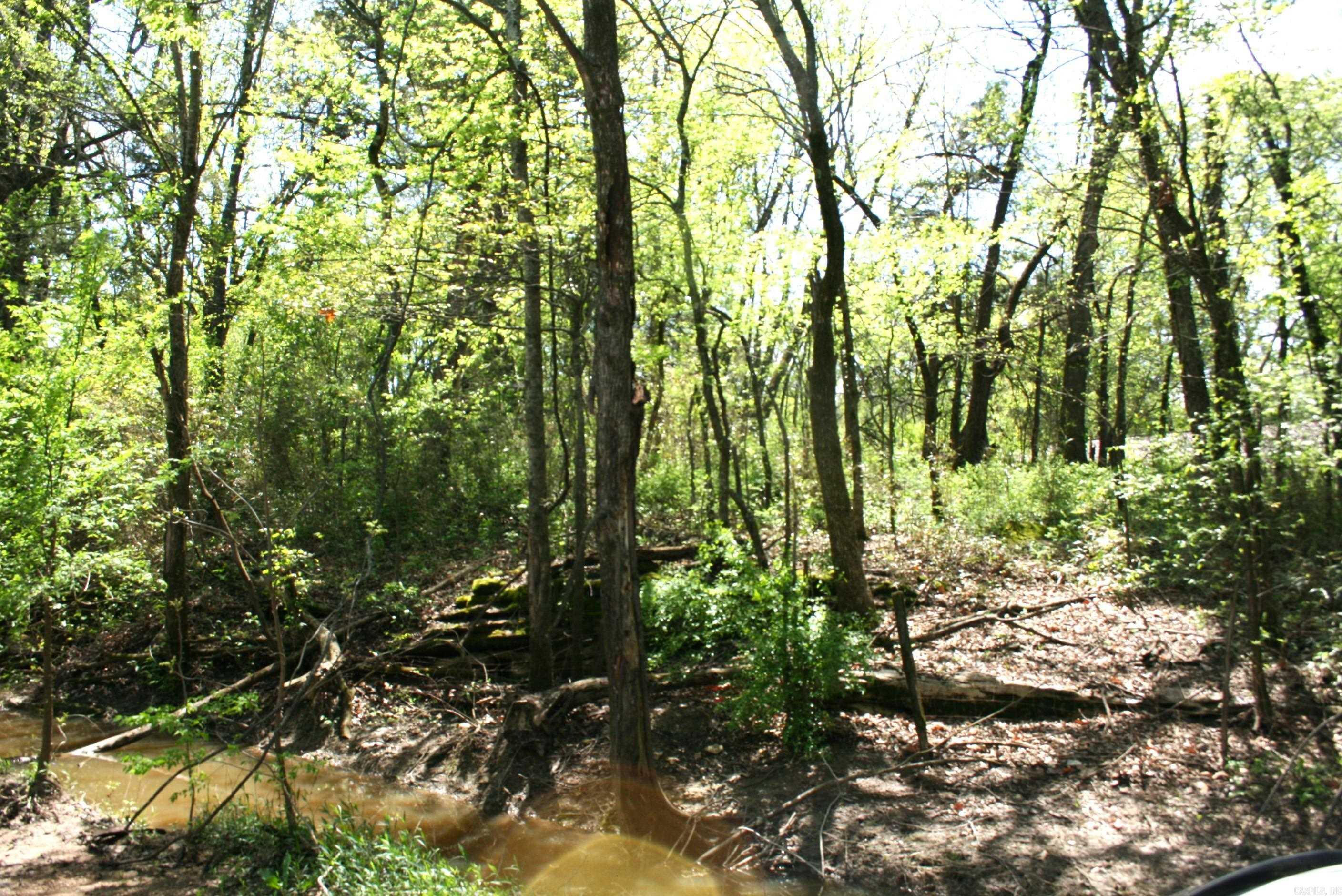 60 Acres Law 216 Property Photo 4