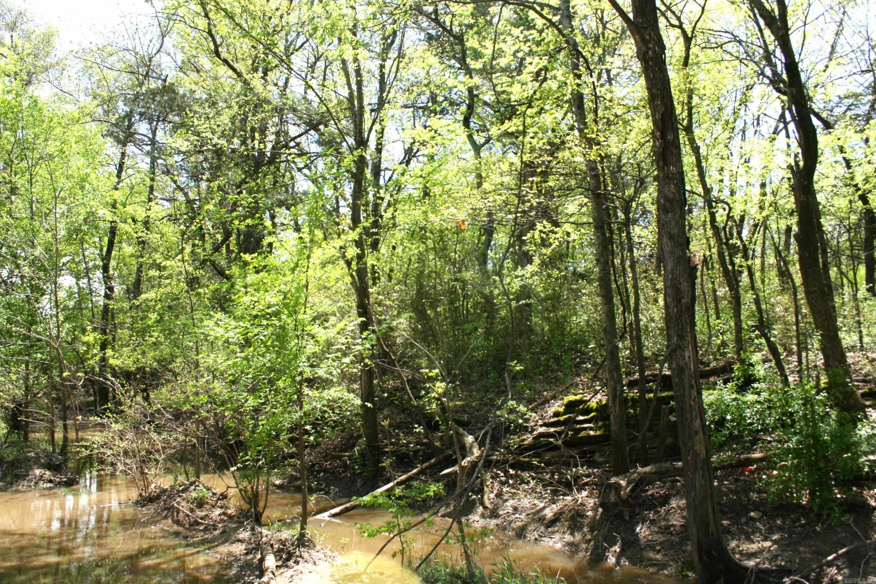 60 Acres Law 216 Property Photo 5