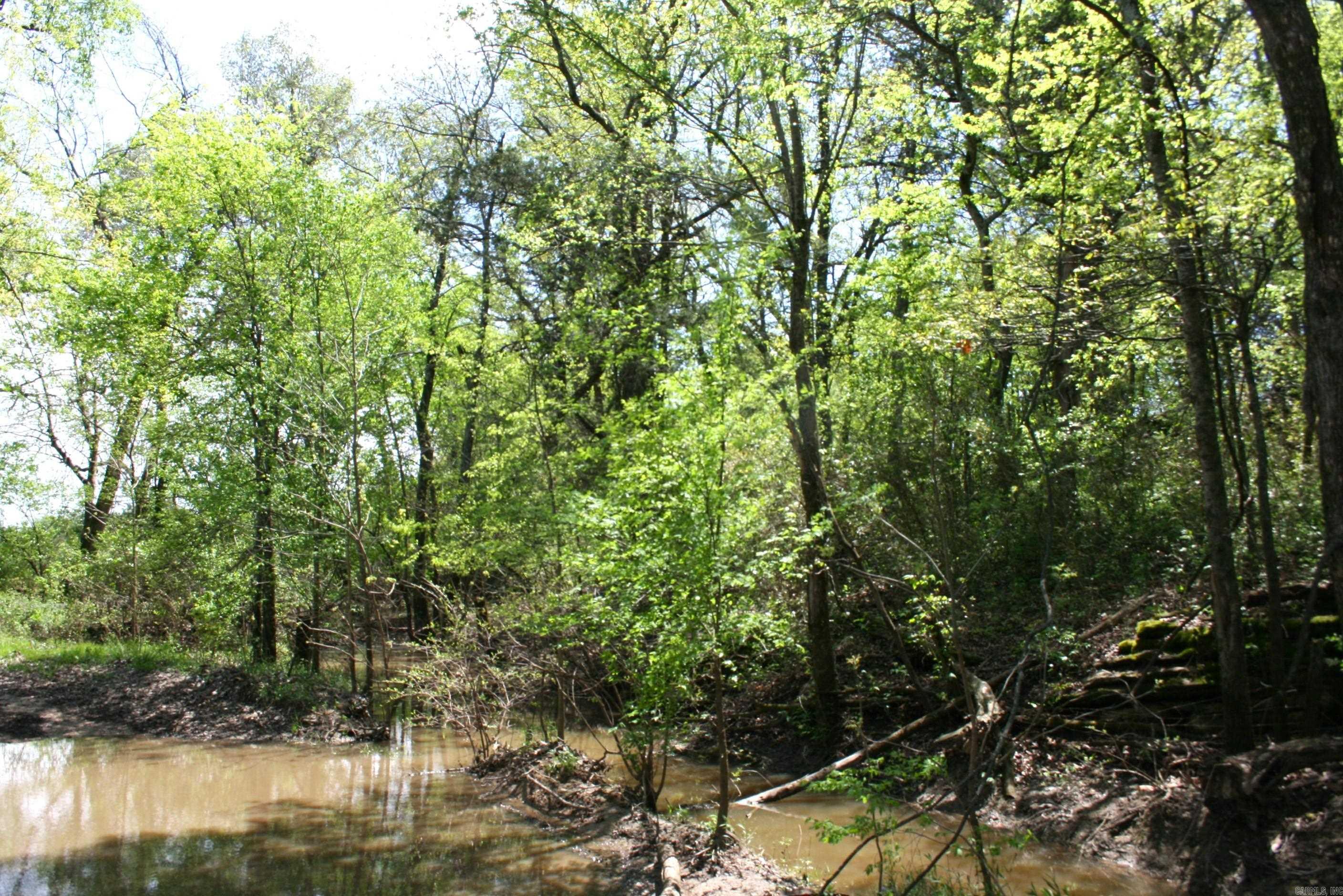 60 Acres Law 216 Property Photo 6