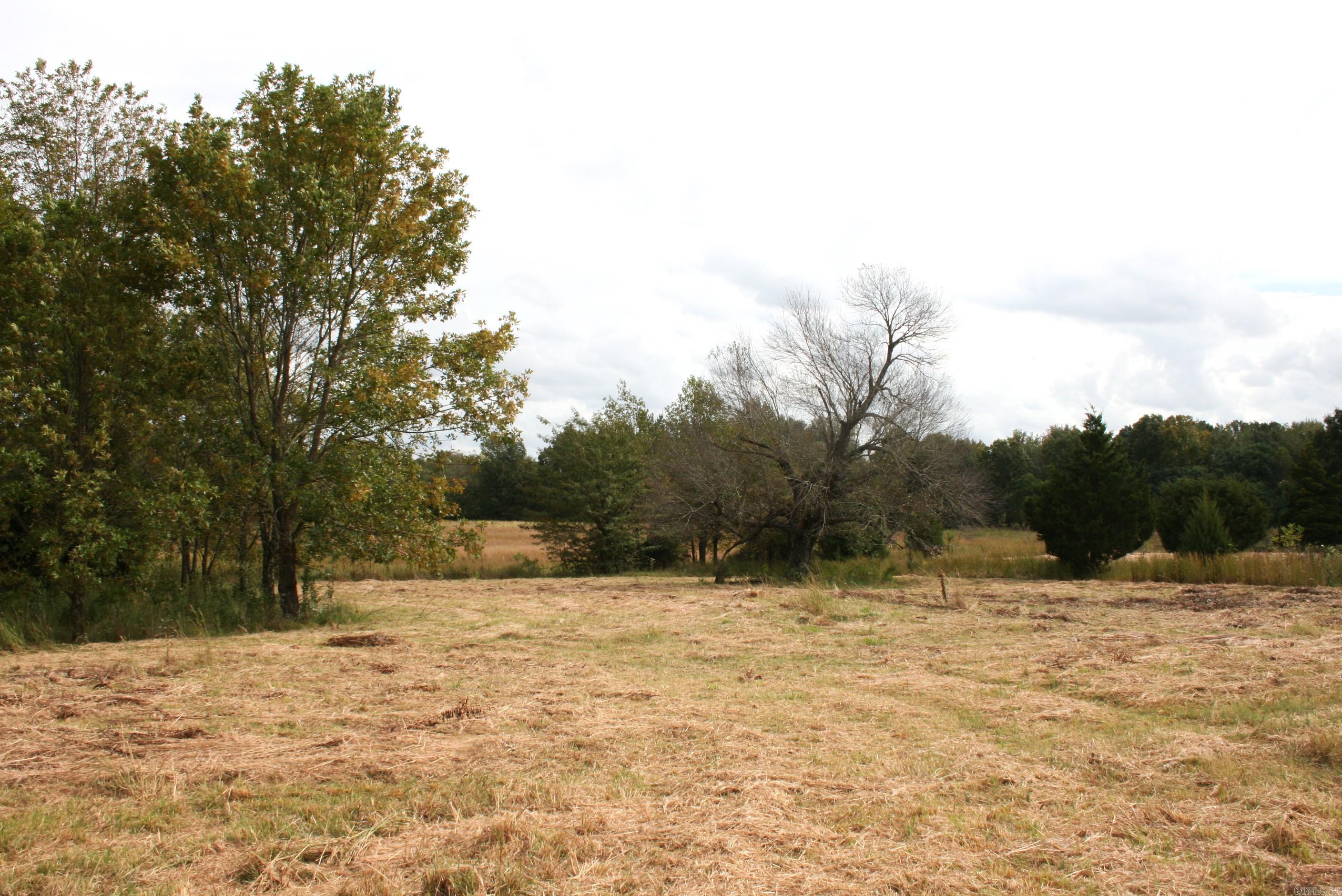 60 Acres Law 216 Property Photo 7