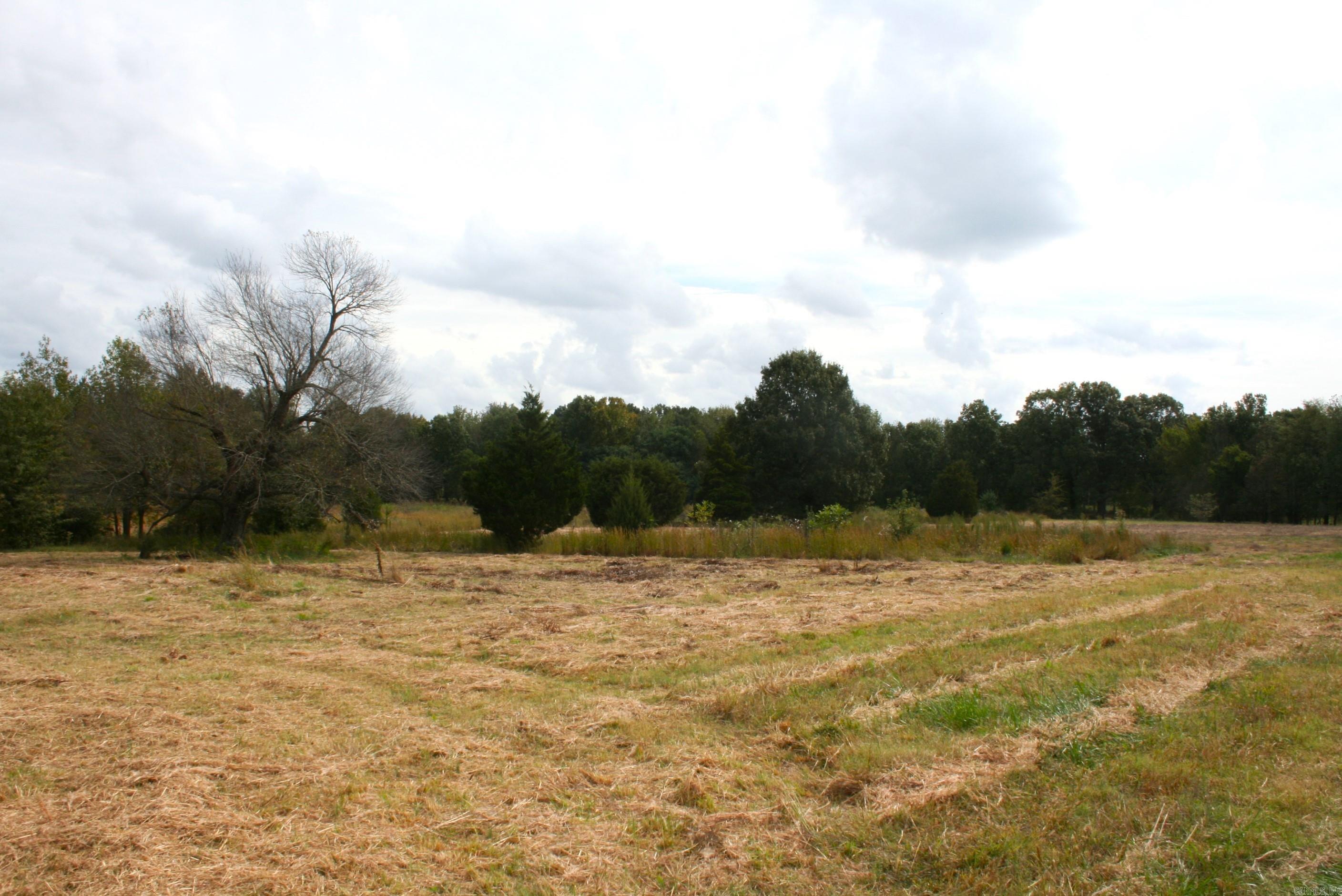 60 Acres Law 216 Property Photo 8