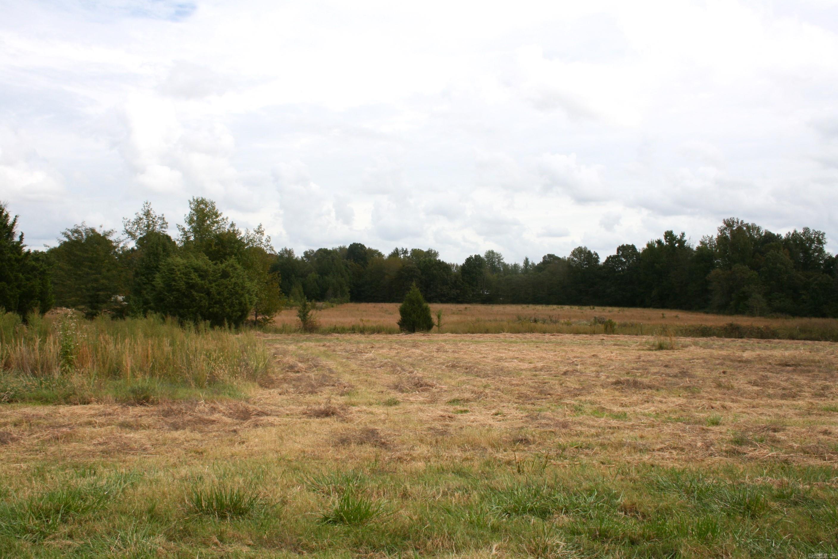 60 Acres Law 216 Property Photo 9
