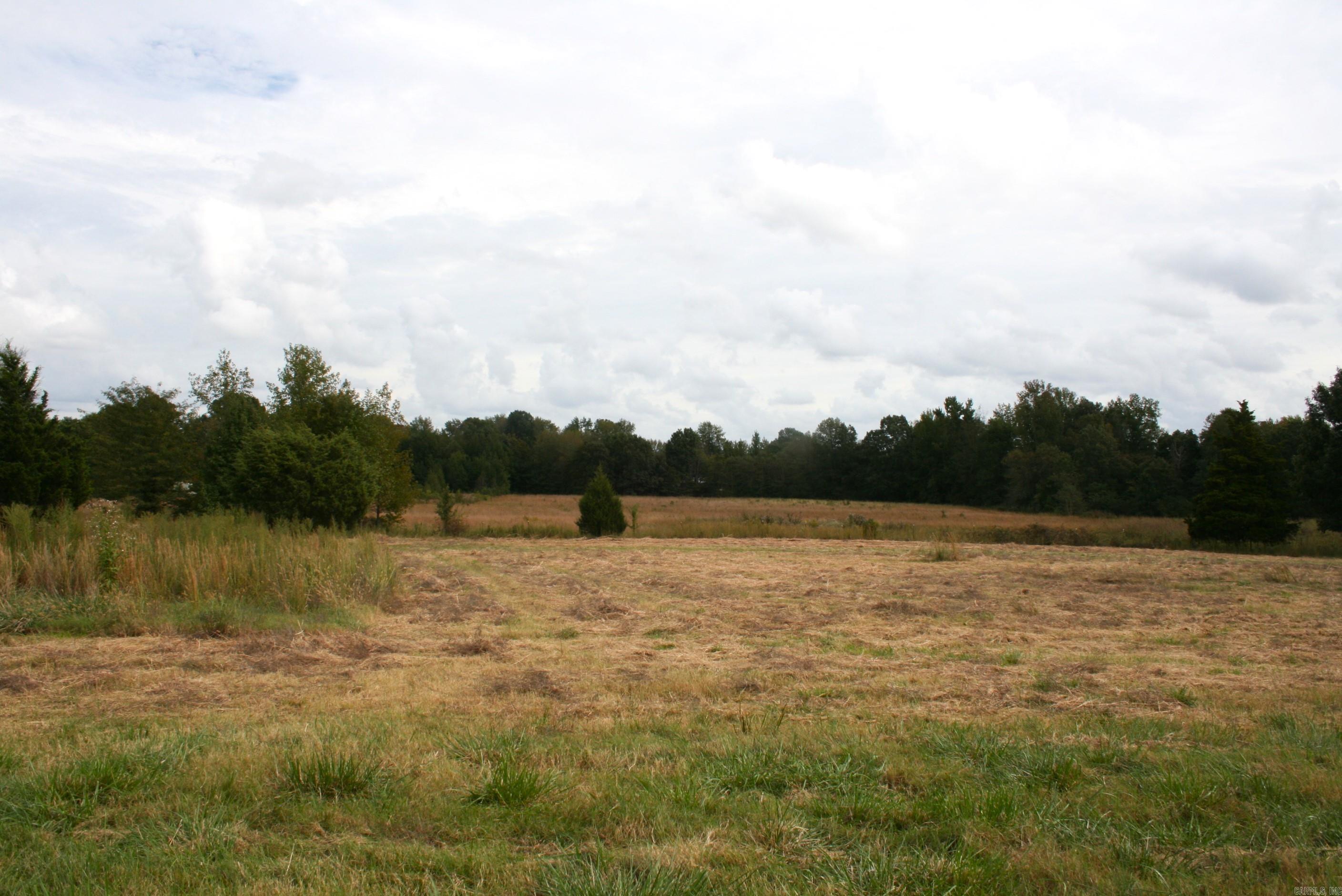 60 Acres Law 216 Property Photo 10