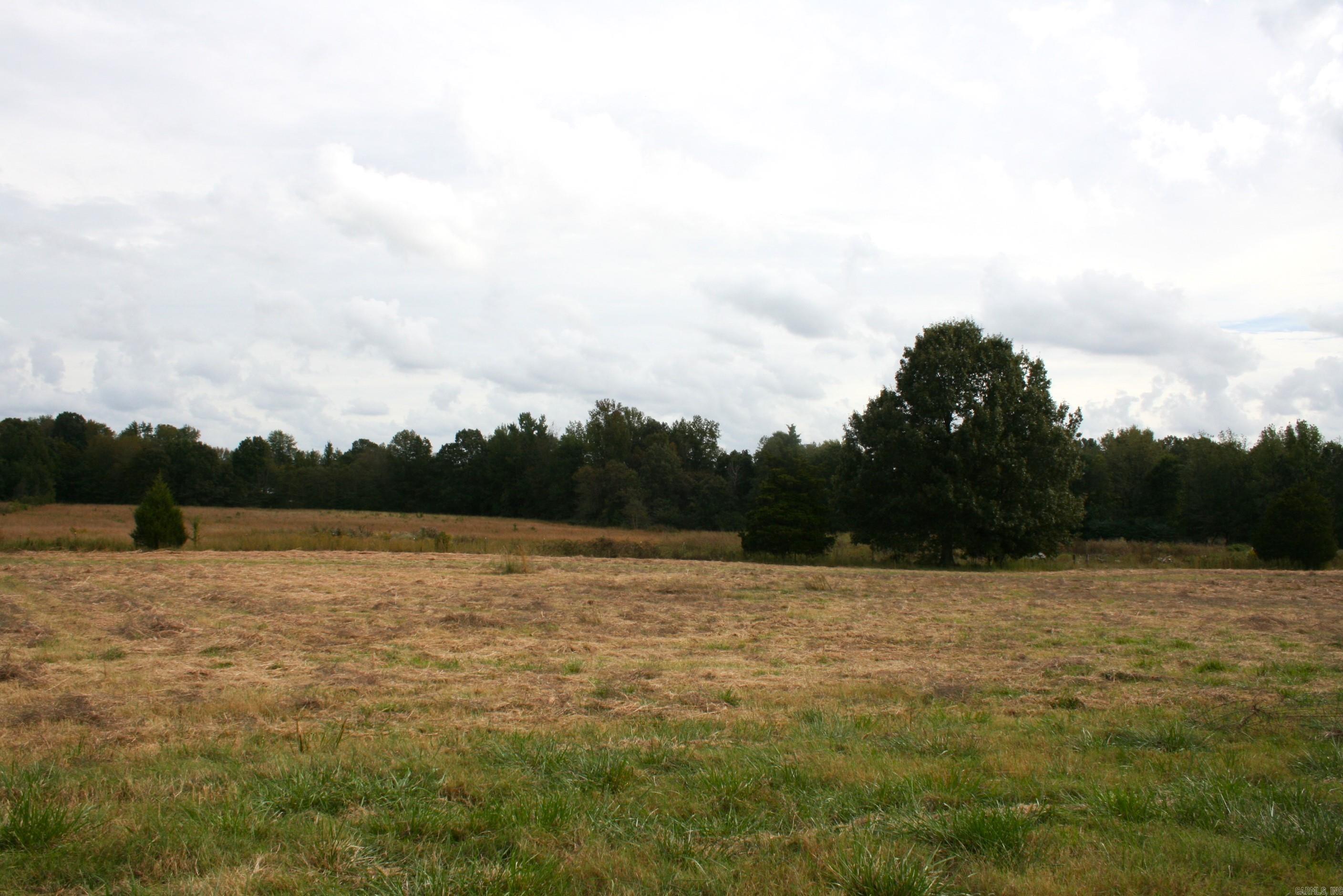 60 Acres Law 216 Property Photo 11