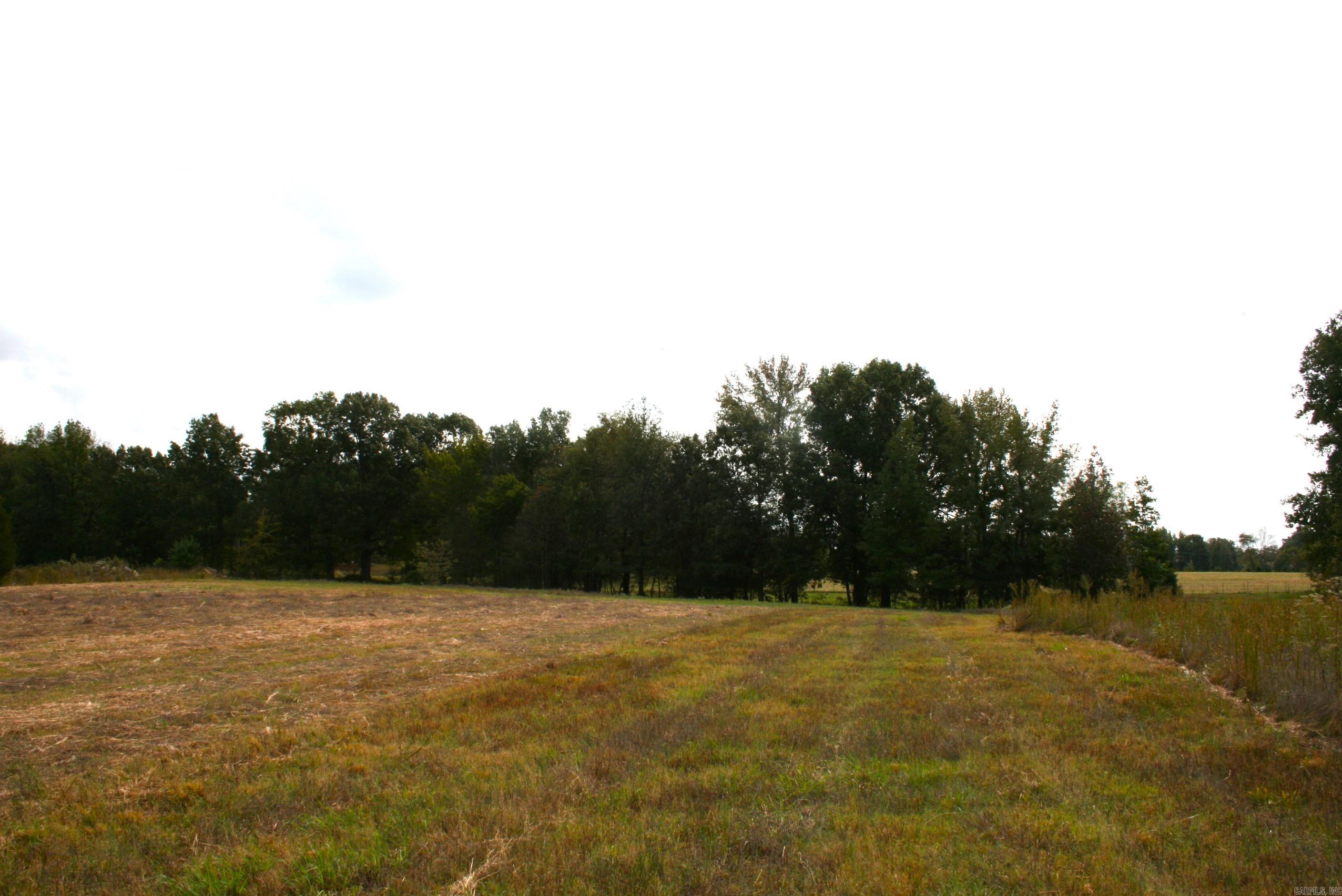 60 Acres Law 216 Property Photo 12