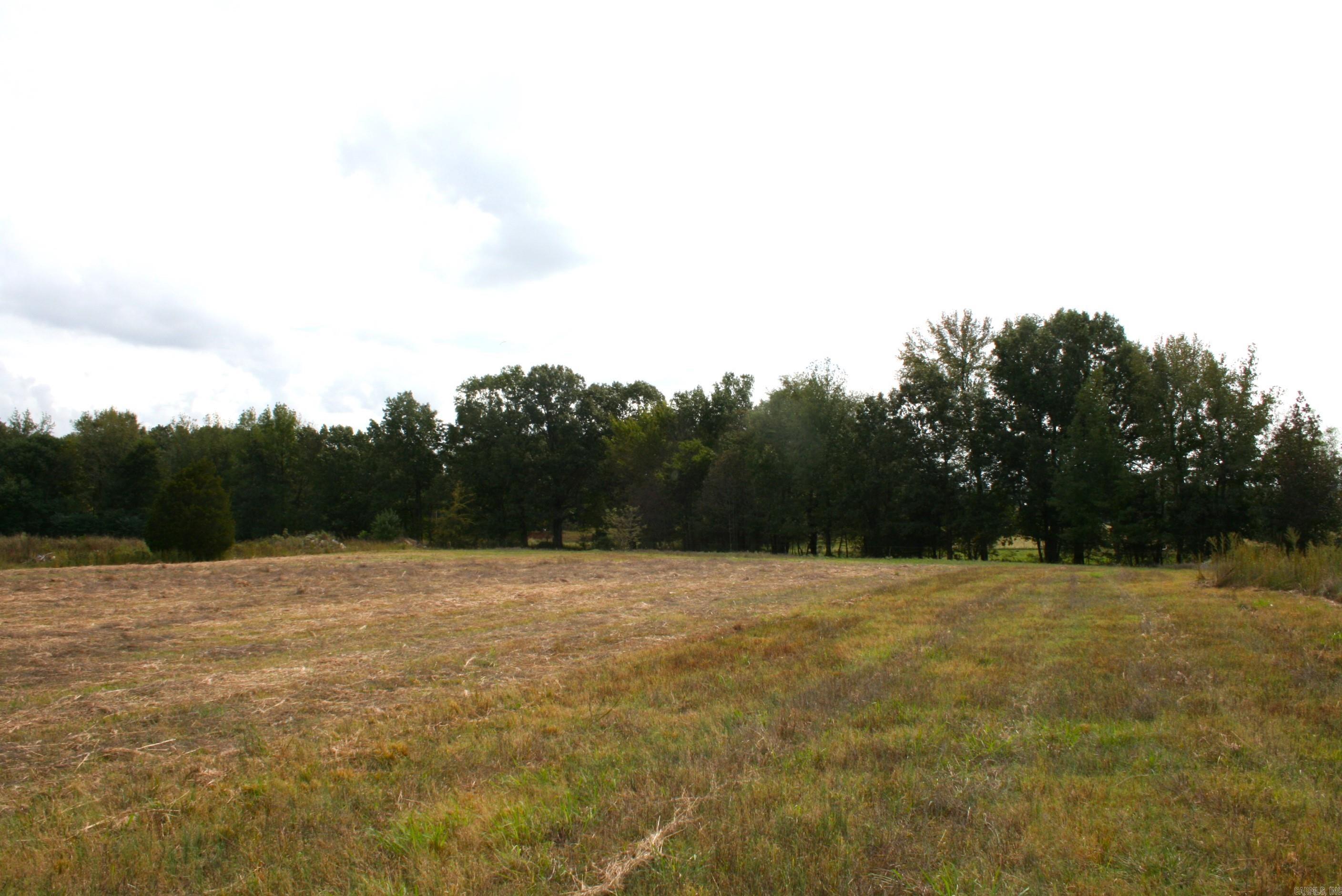 60 Acres Law 216 Property Photo 13