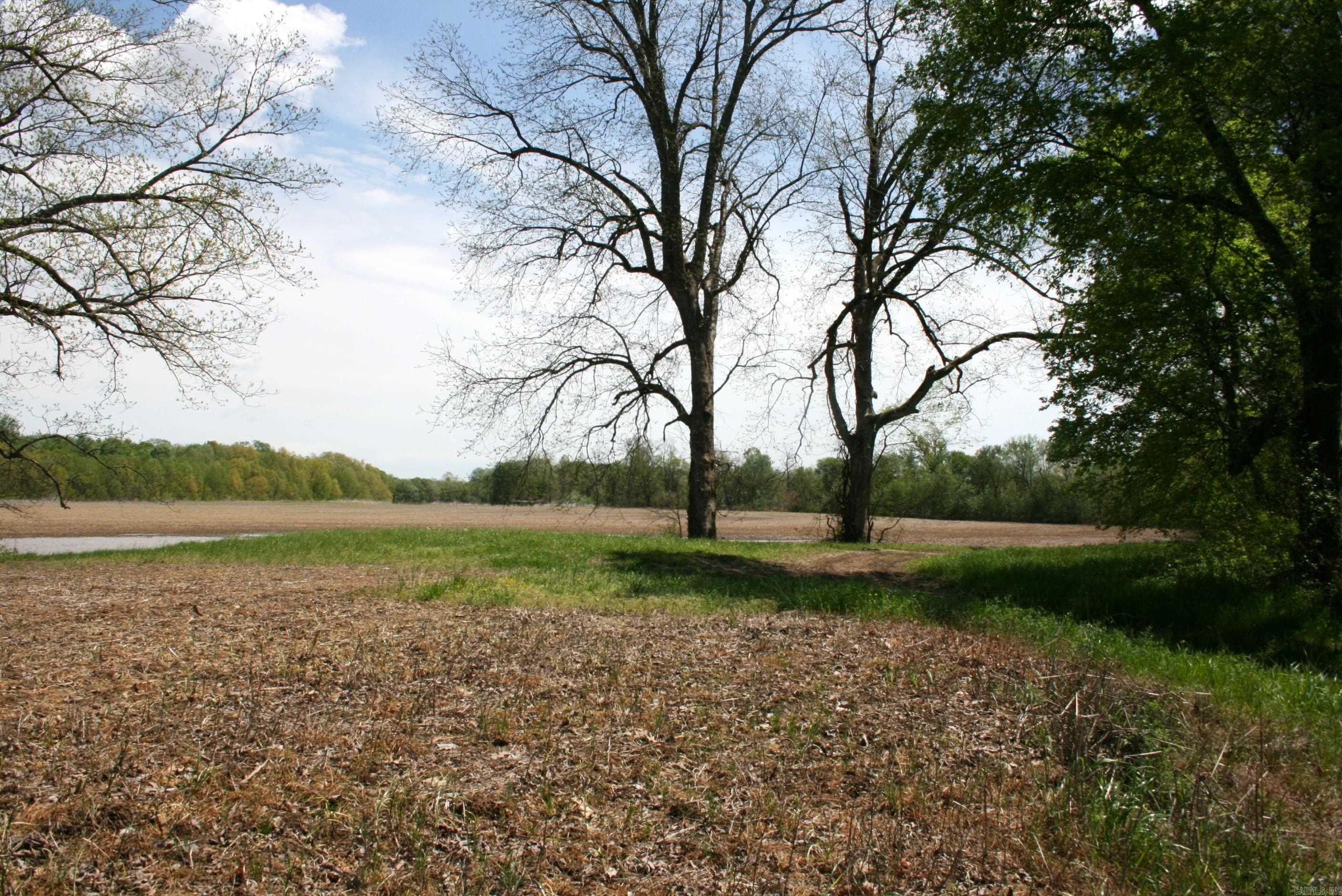 60 Acres Law 216 Property Photo 15