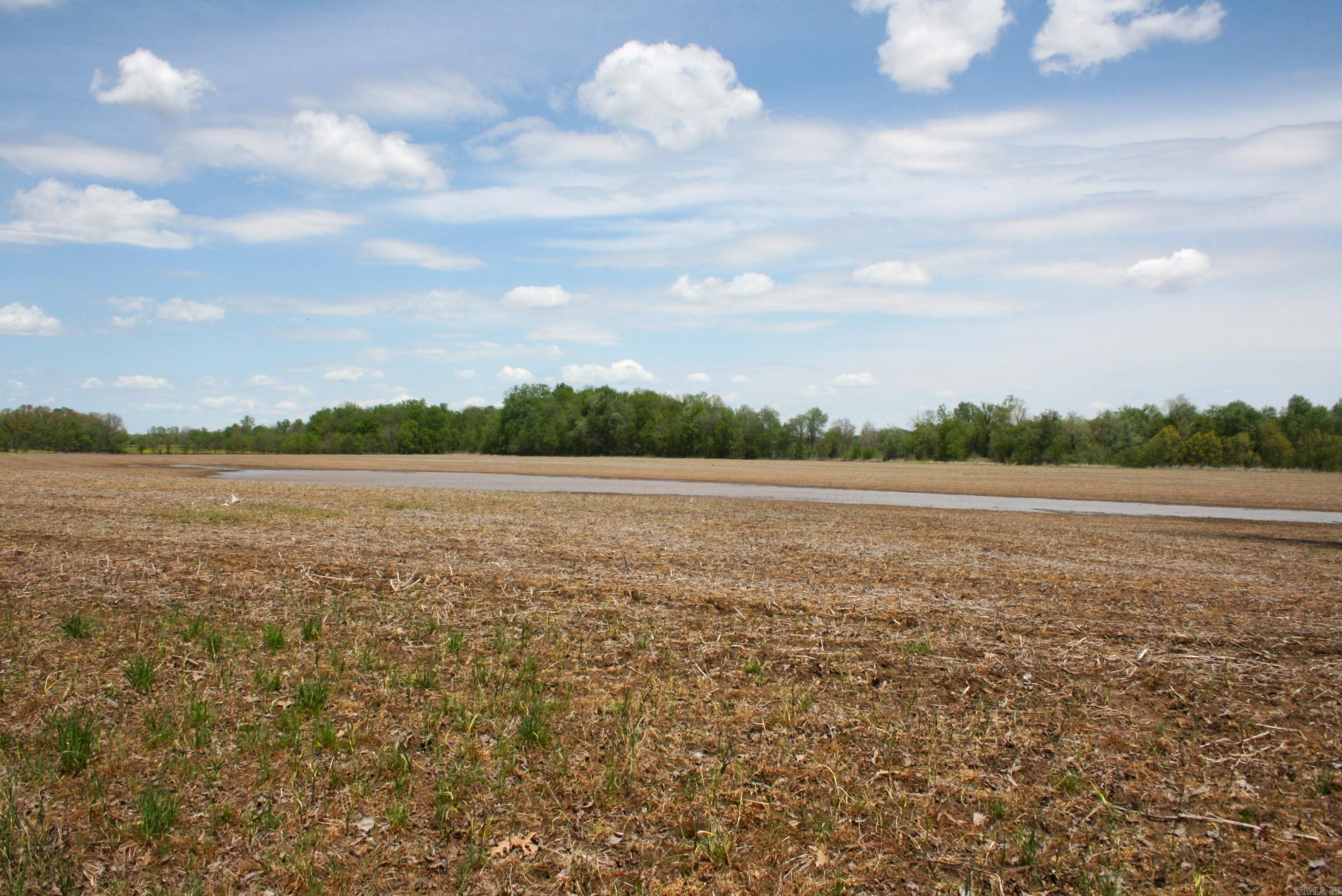 60 Acres Law 216 Property Photo 16
