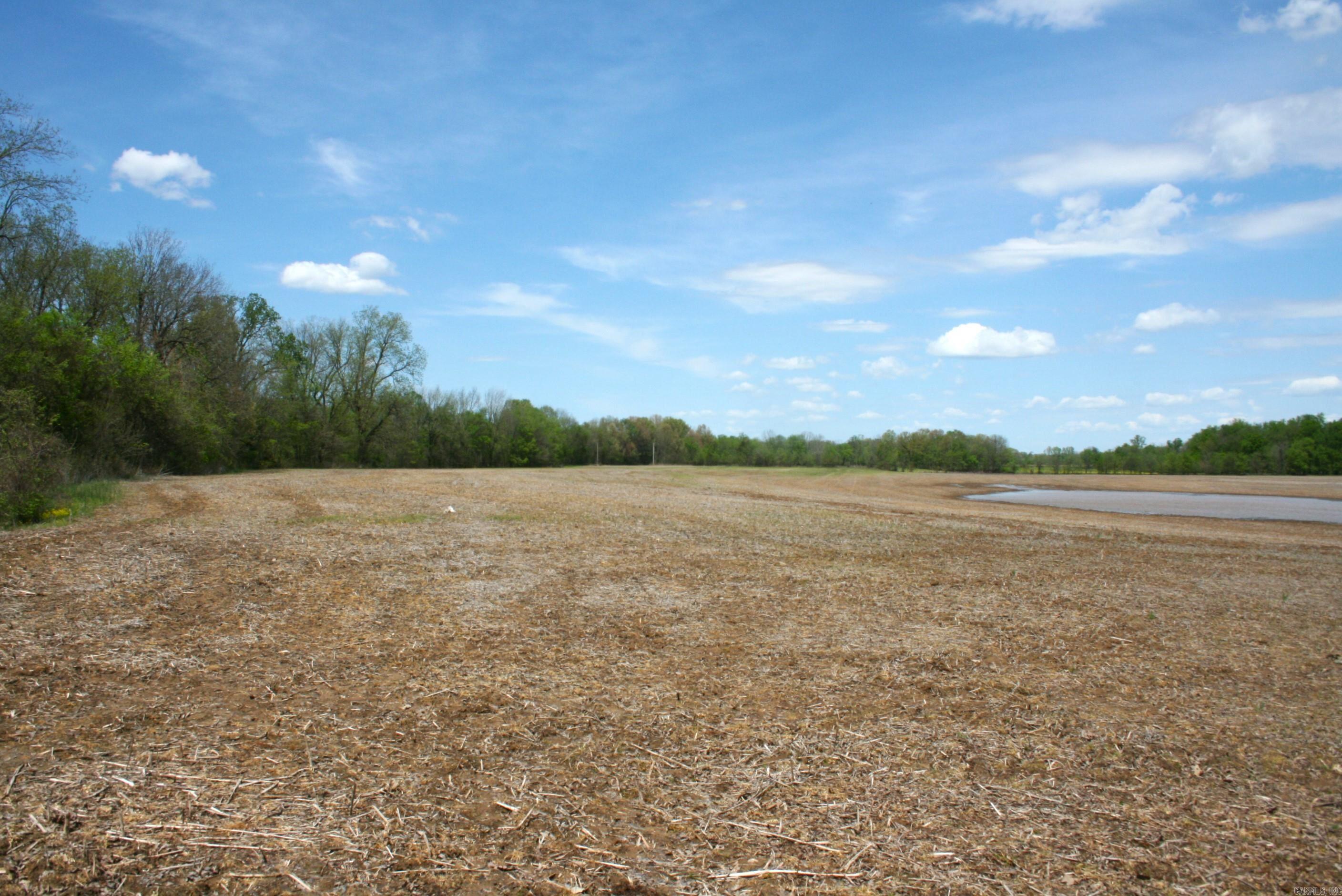 60 Acres Law 216 Property Photo 17