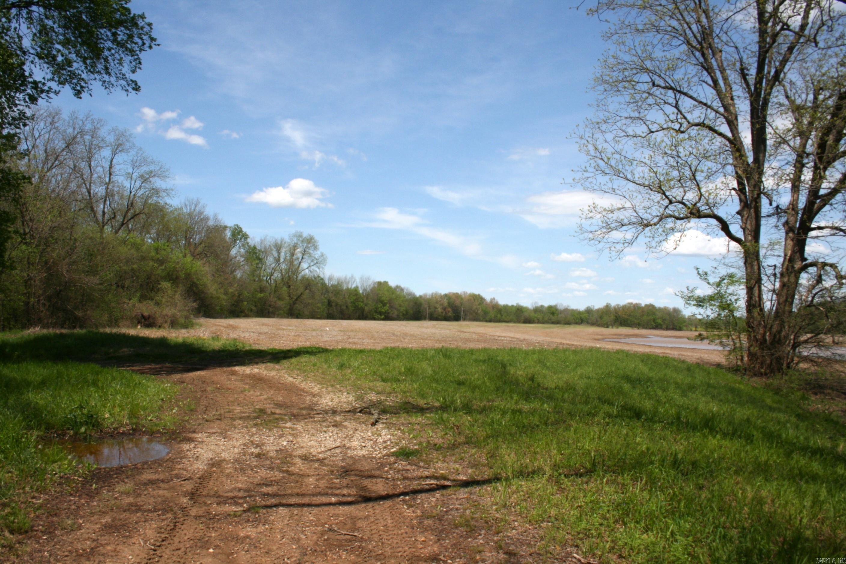 60 Acres Law 216 Property Photo 18