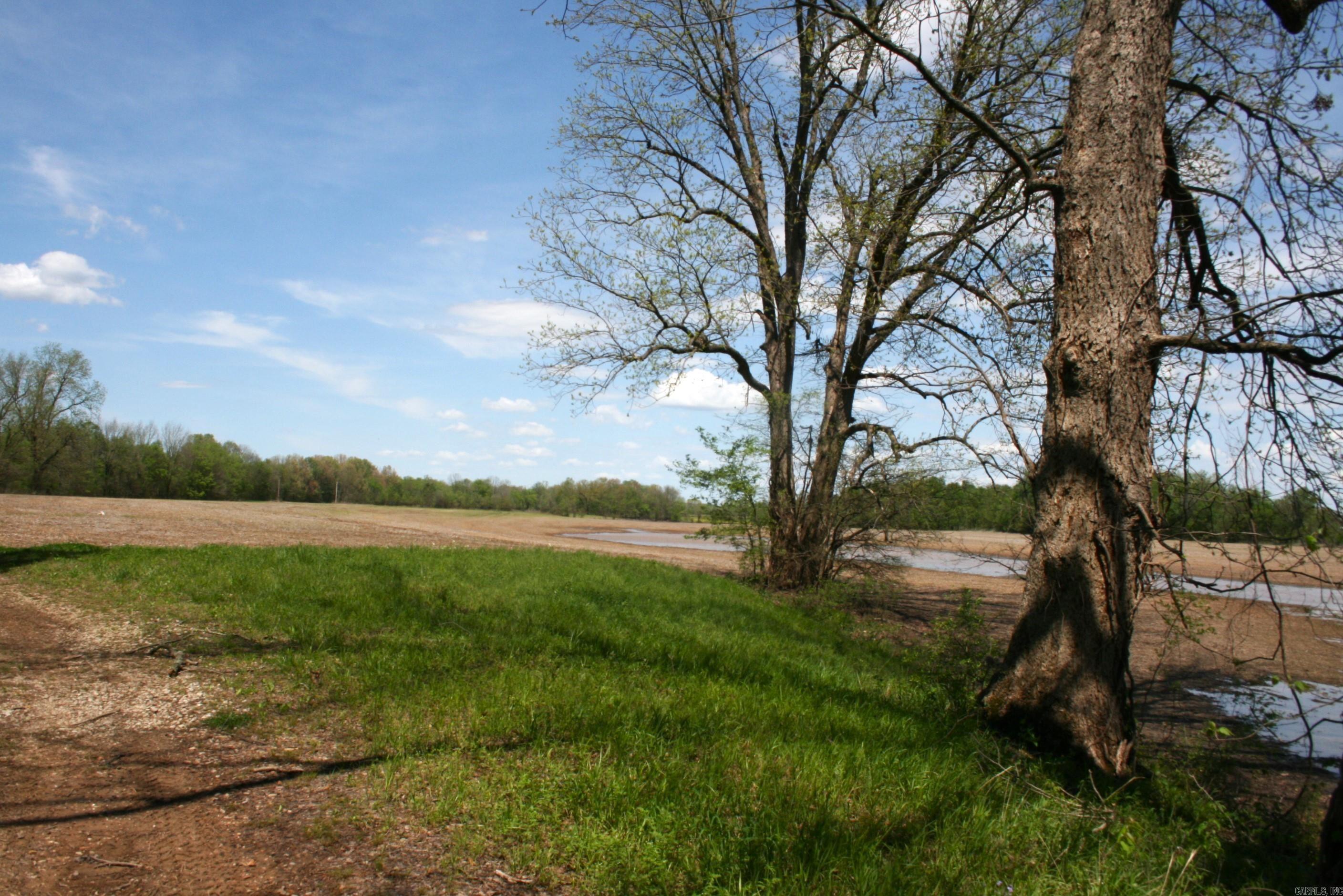 60 Acres Law 216 Property Photo 19