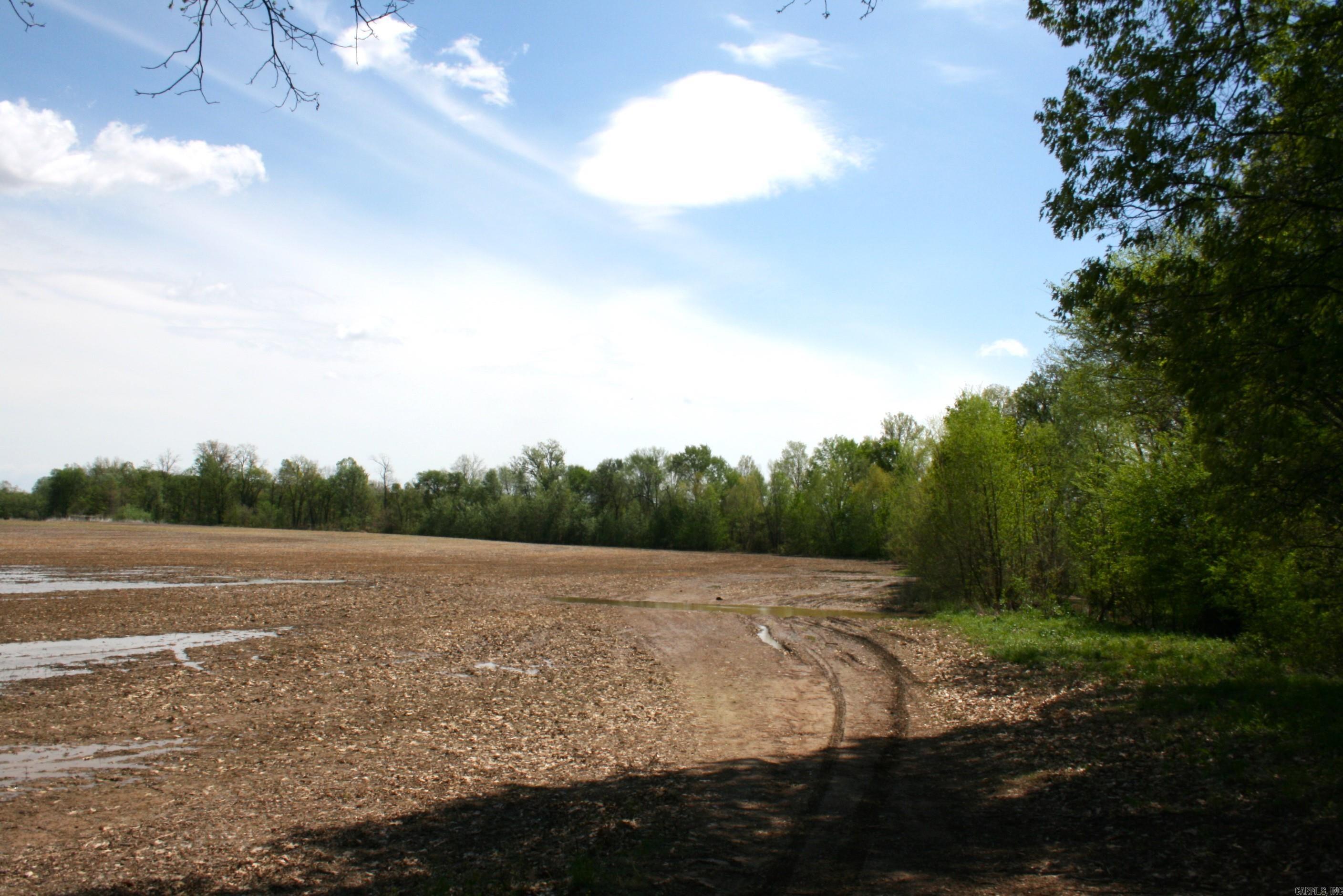 60 Acres Law 216 Property Photo 20