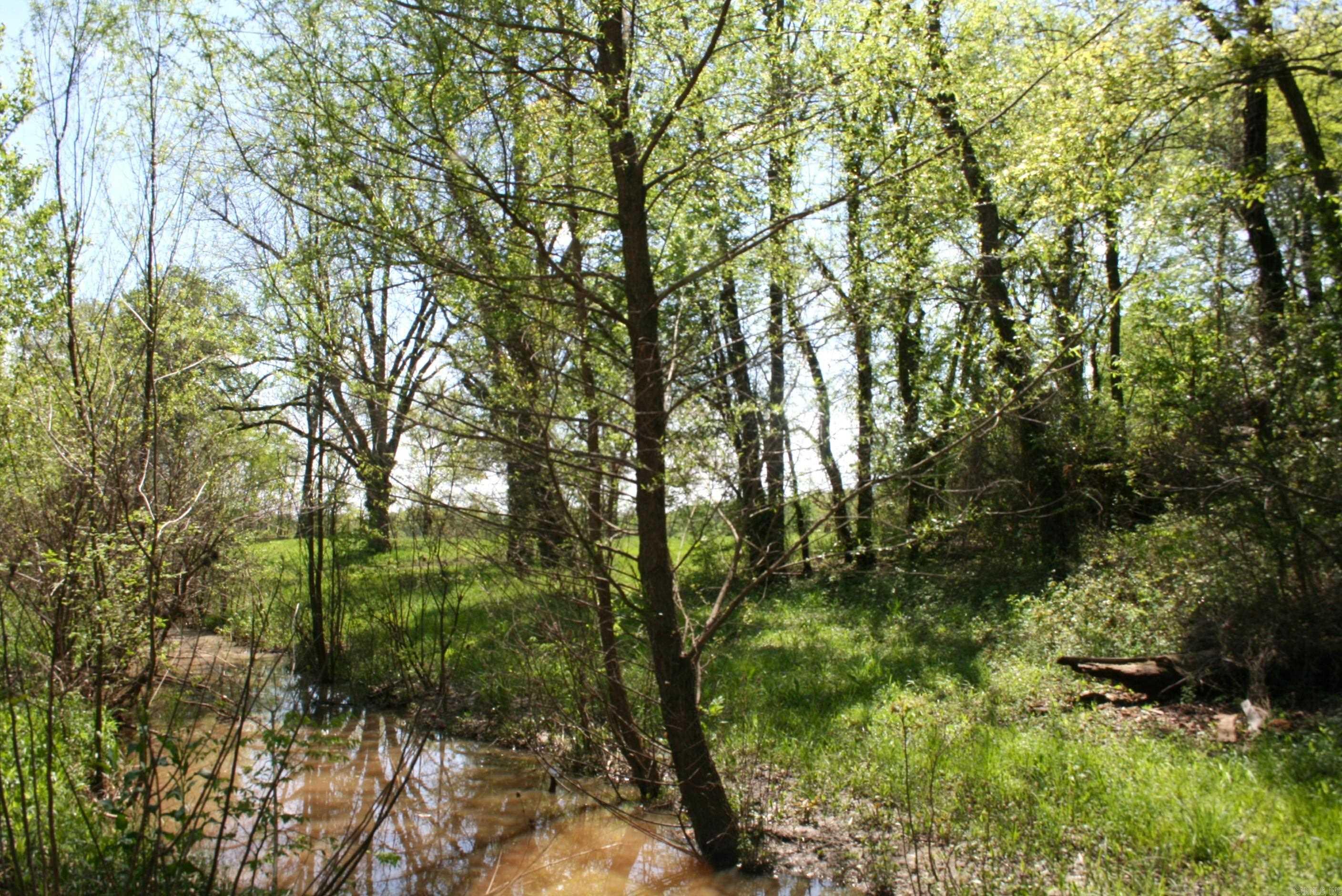 60 Acres Law 216 Property Photo 21