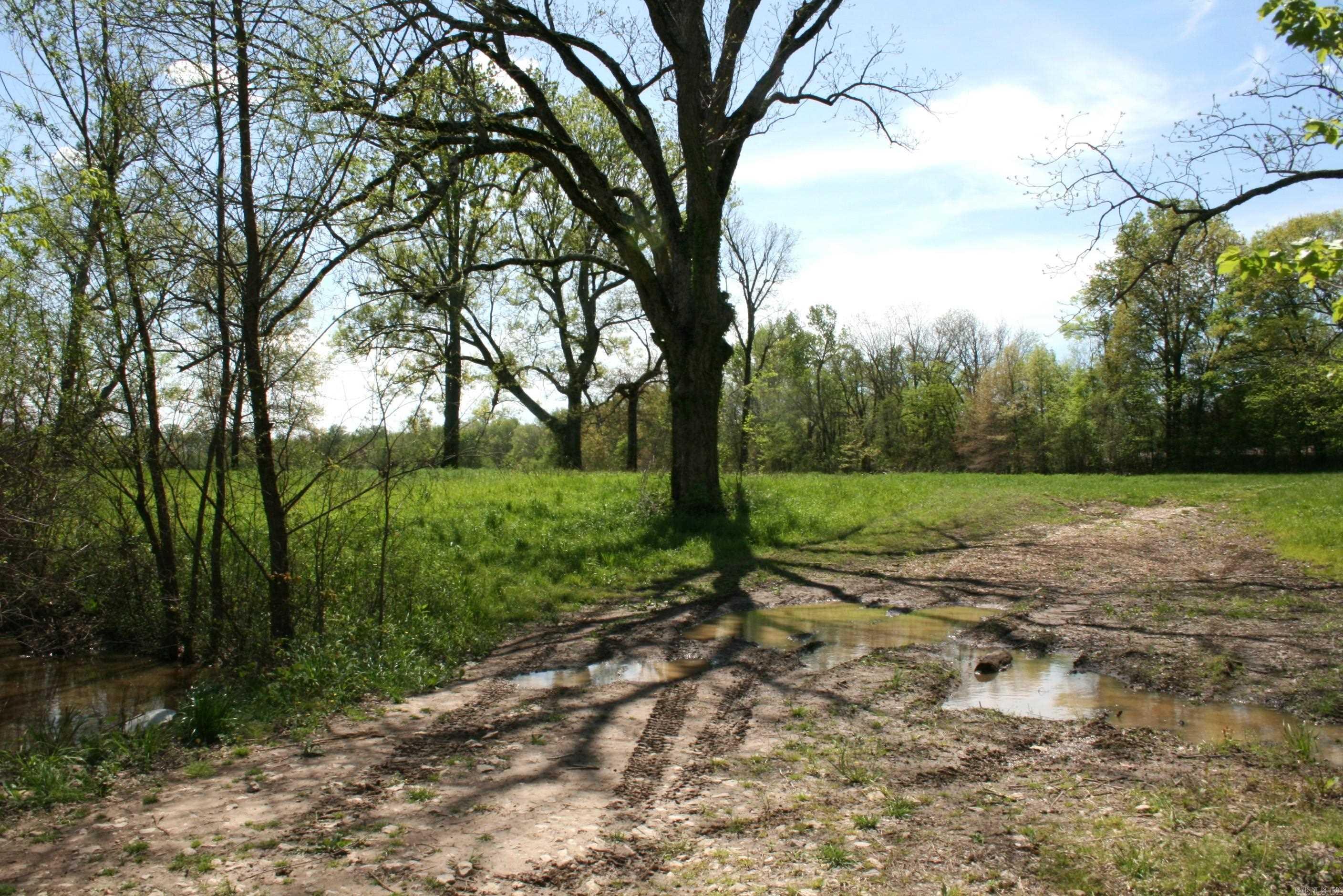 60 Acres Law 216 Property Photo 22