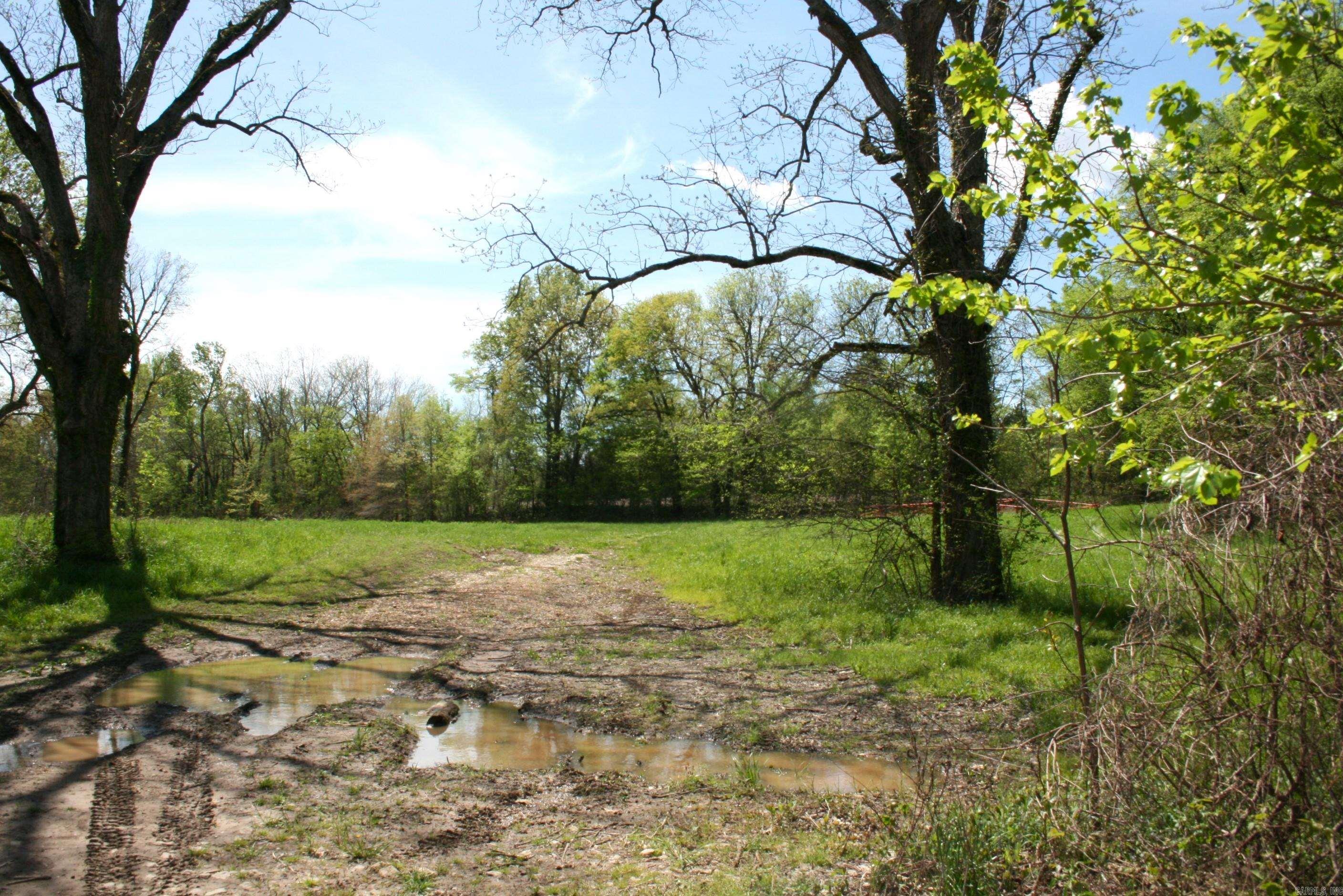 60 Acres Law 216 Property Photo 23