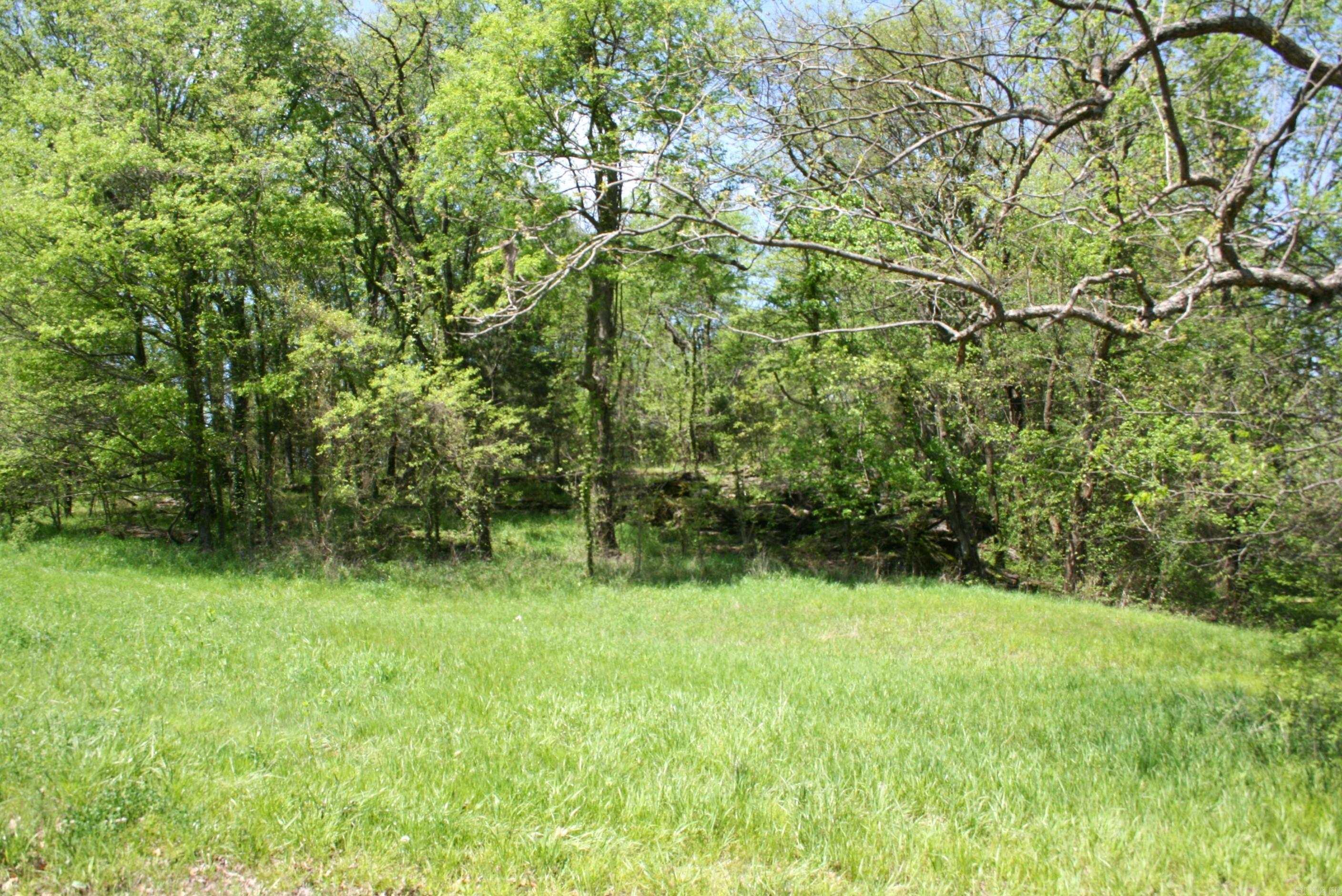 60 Acres Law 216 Property Photo 24