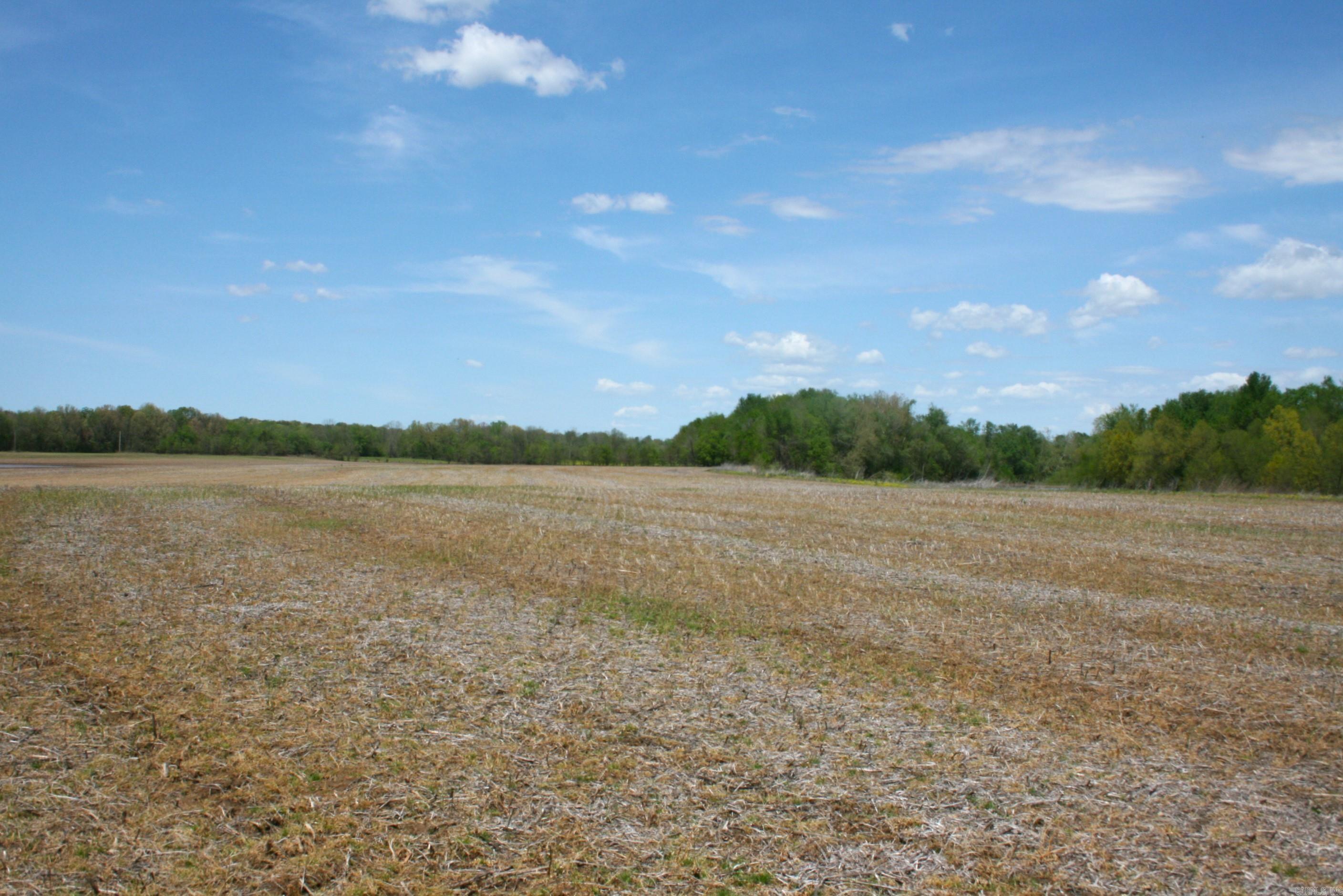 60 Acres Law 216 Property Photo 25