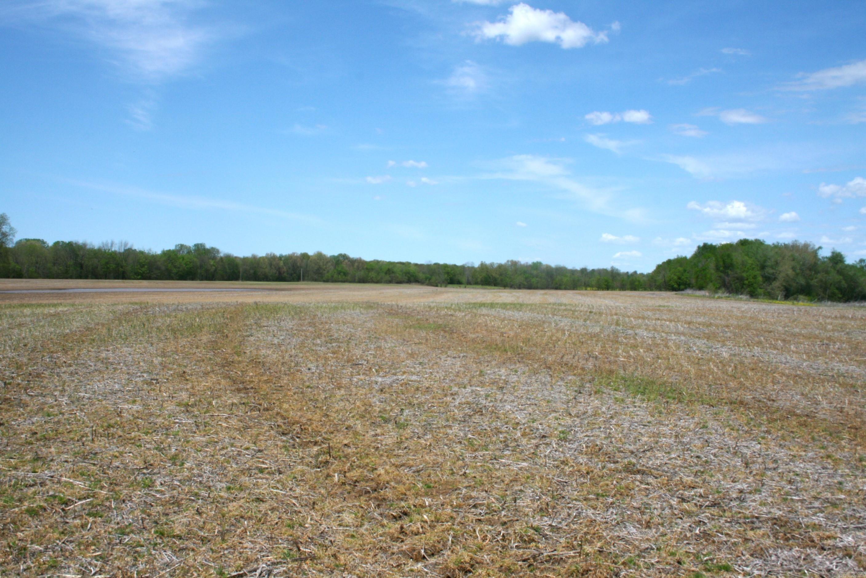 60 Acres Law 216 Property Photo 26